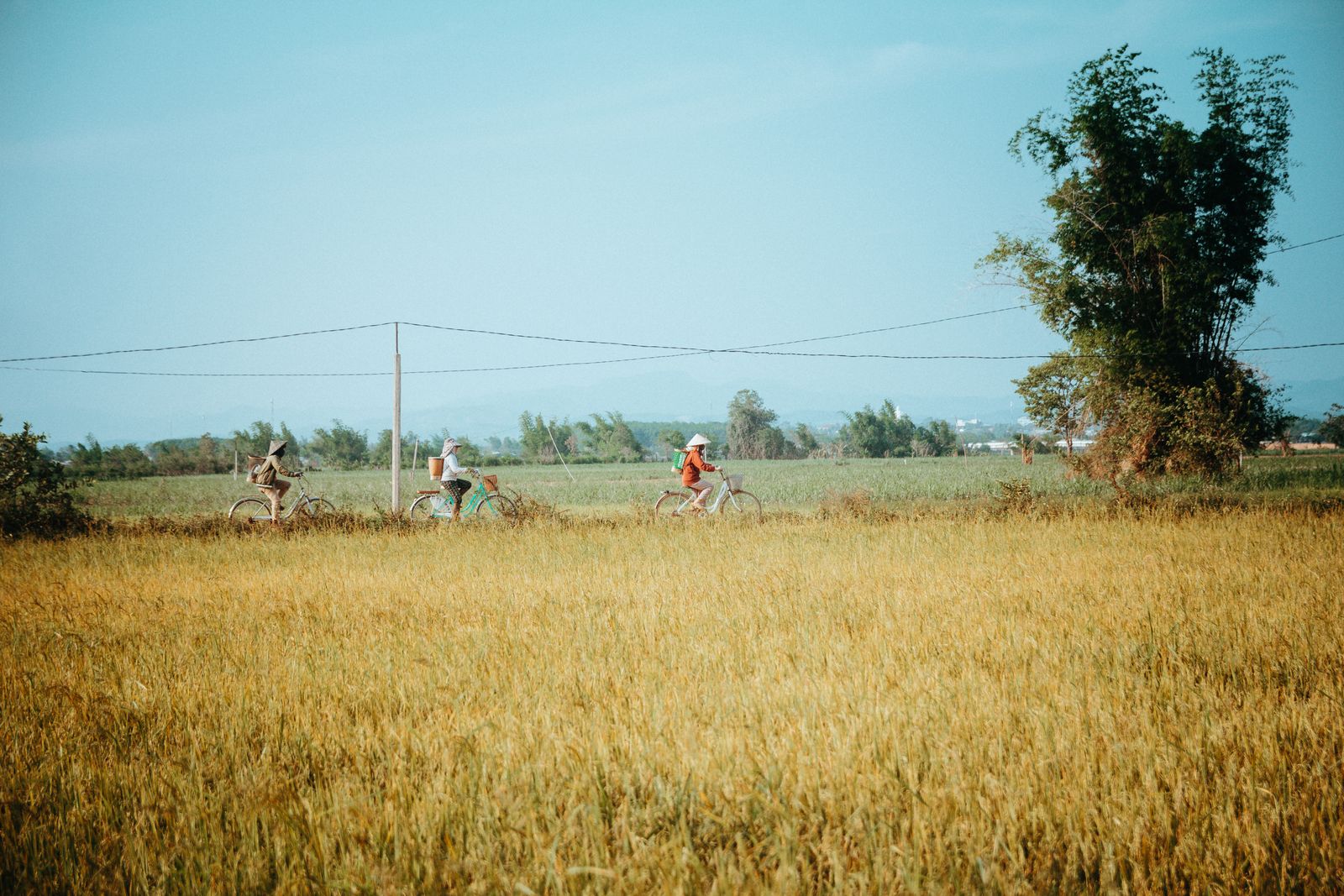 Hoi An bisiklet & yemek atölyesi