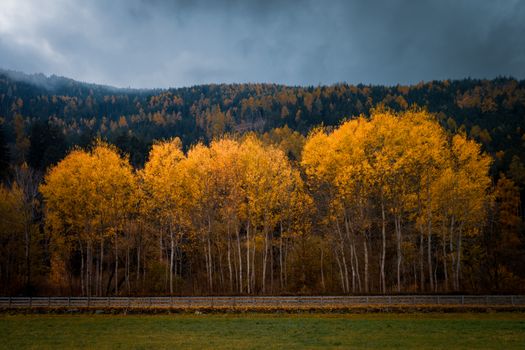 Image by Bruno Kraler