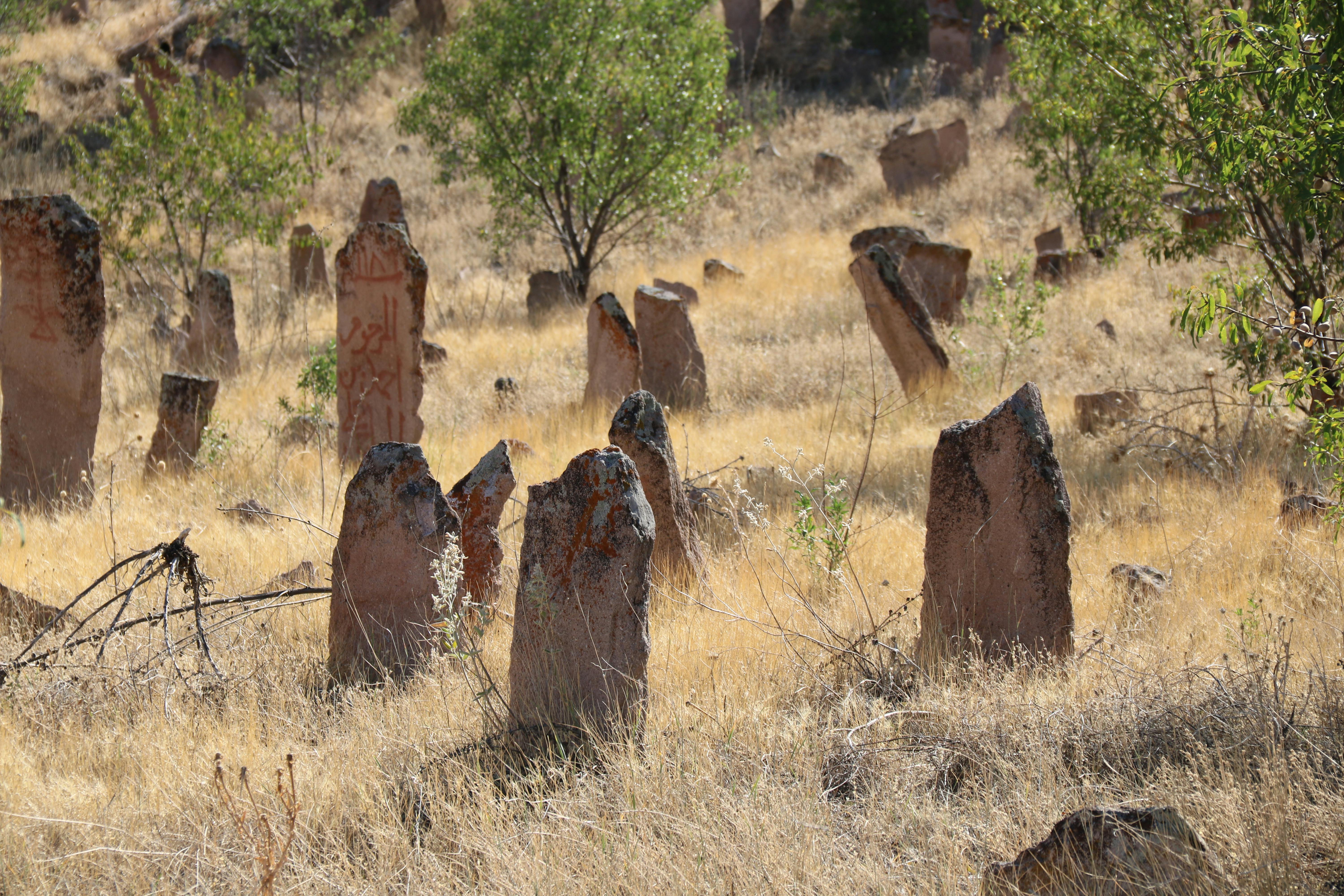 뇌파 AI, 잃어버린 고대 문명의 지식을 해독하다: 인류의 진짜 과거가 드러나는가?