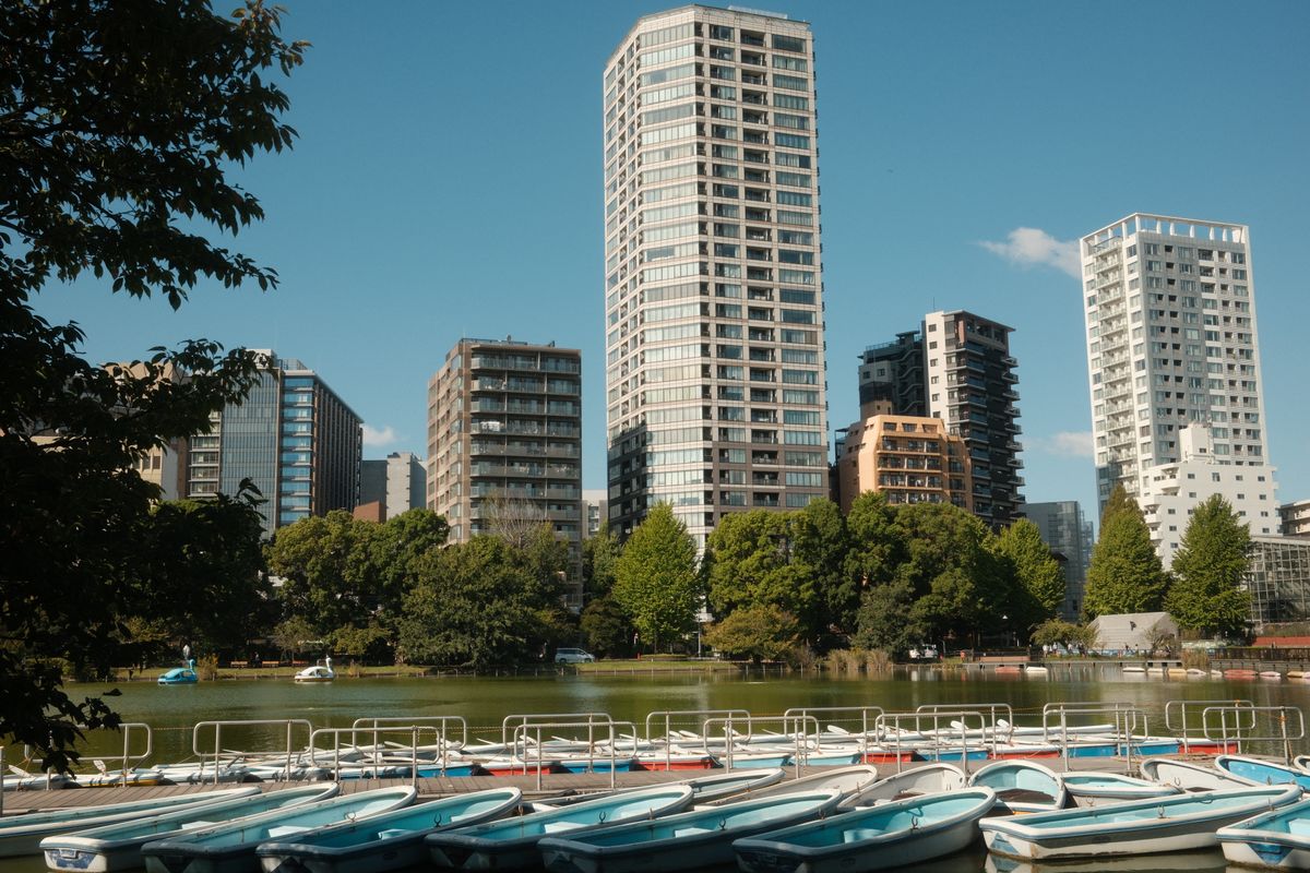 Tokyo - bărci pe lacul Shinobazu, cu zgârie-nori în fundal