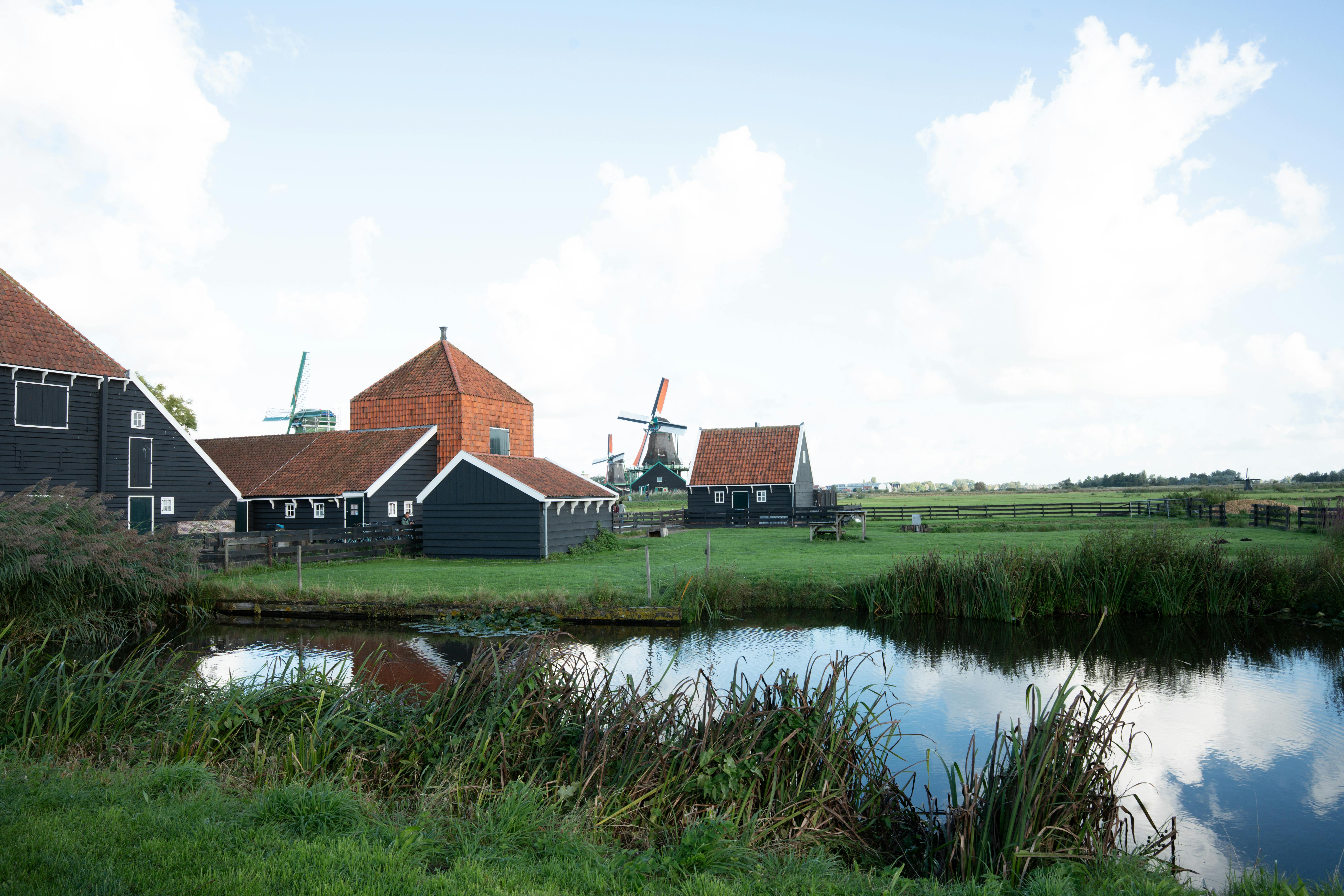 科技：病毒季必備！石頭F25 Ultra淨蒸者×Giaretti奶瓶清洗機46折