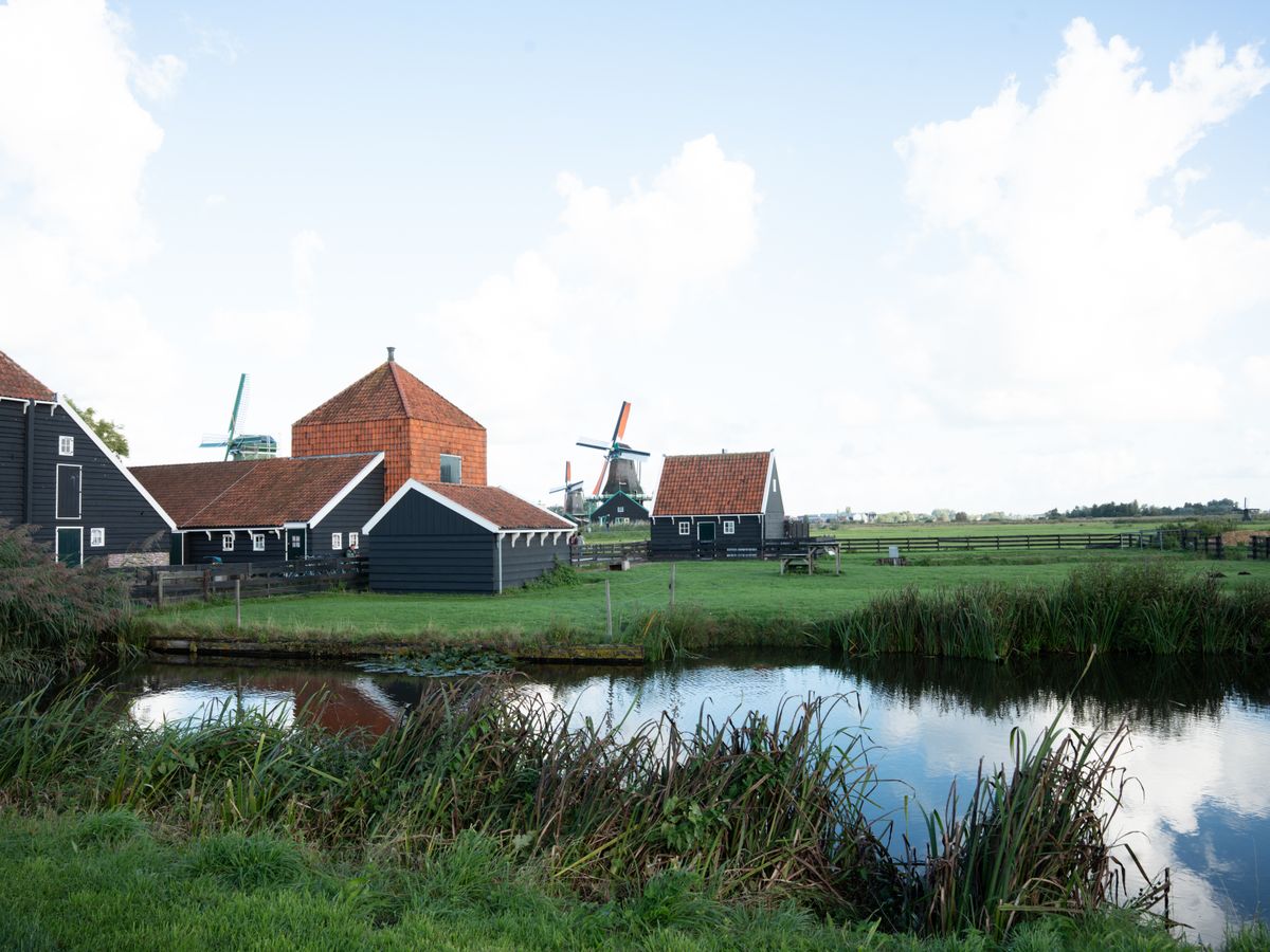 3 Day Women's Psilocybin Retreat in The Netherlands 1