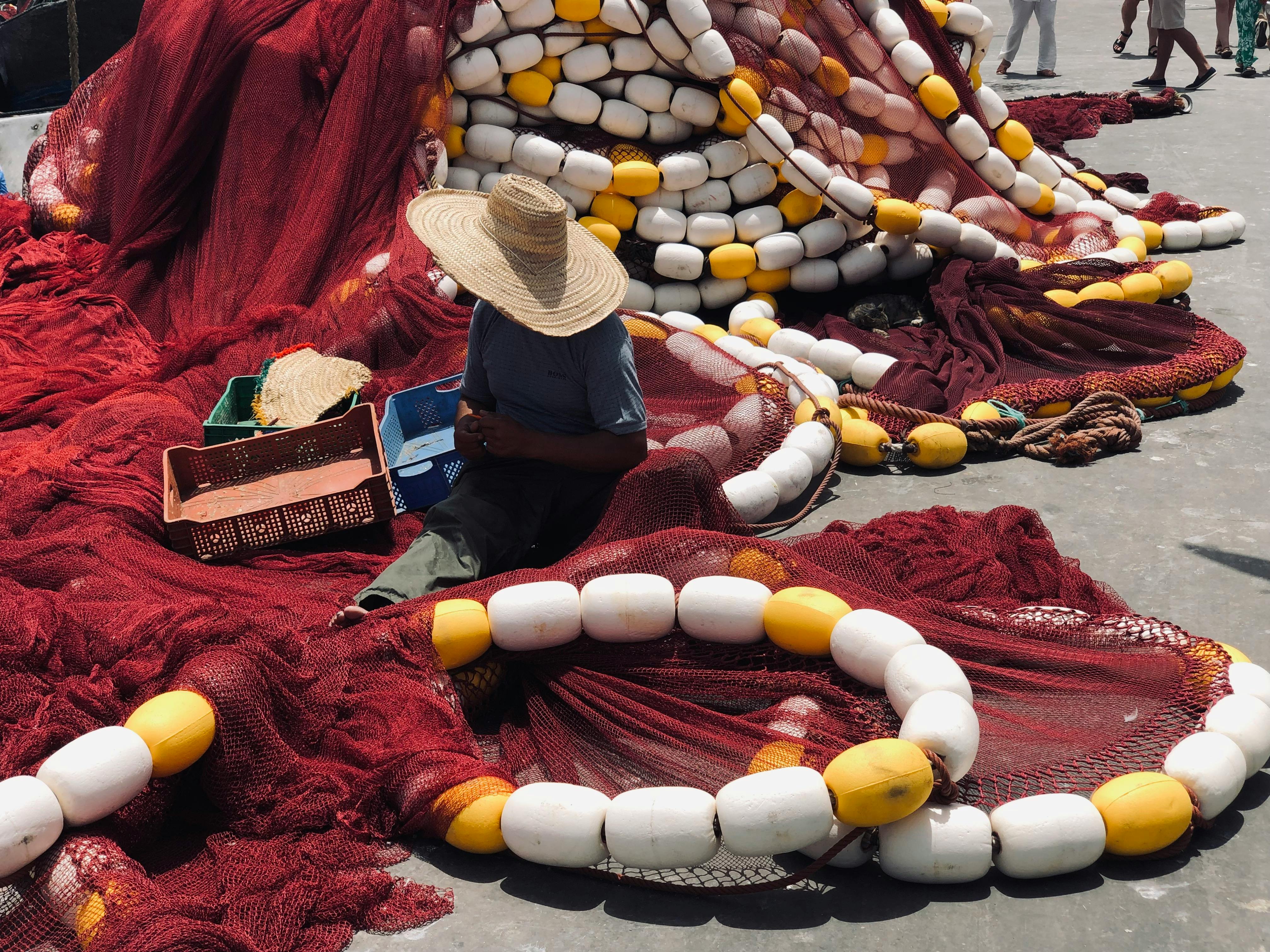 彰化縣國際身心障礙者日園遊會熱鬧登場 特教表揚傳遞溫馨關懷