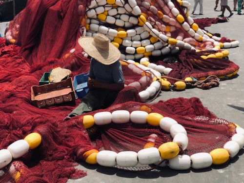 Free A fisherman sits amidst colorful fishing nets in Essaouira, Morocco, showcasing traditional fishing culture. Stock Photo