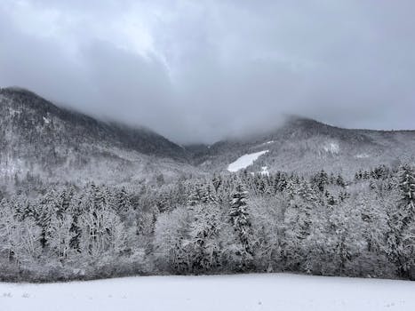 A serene view of a snow-covered forest and mountains in the Alps under an overcast sky.