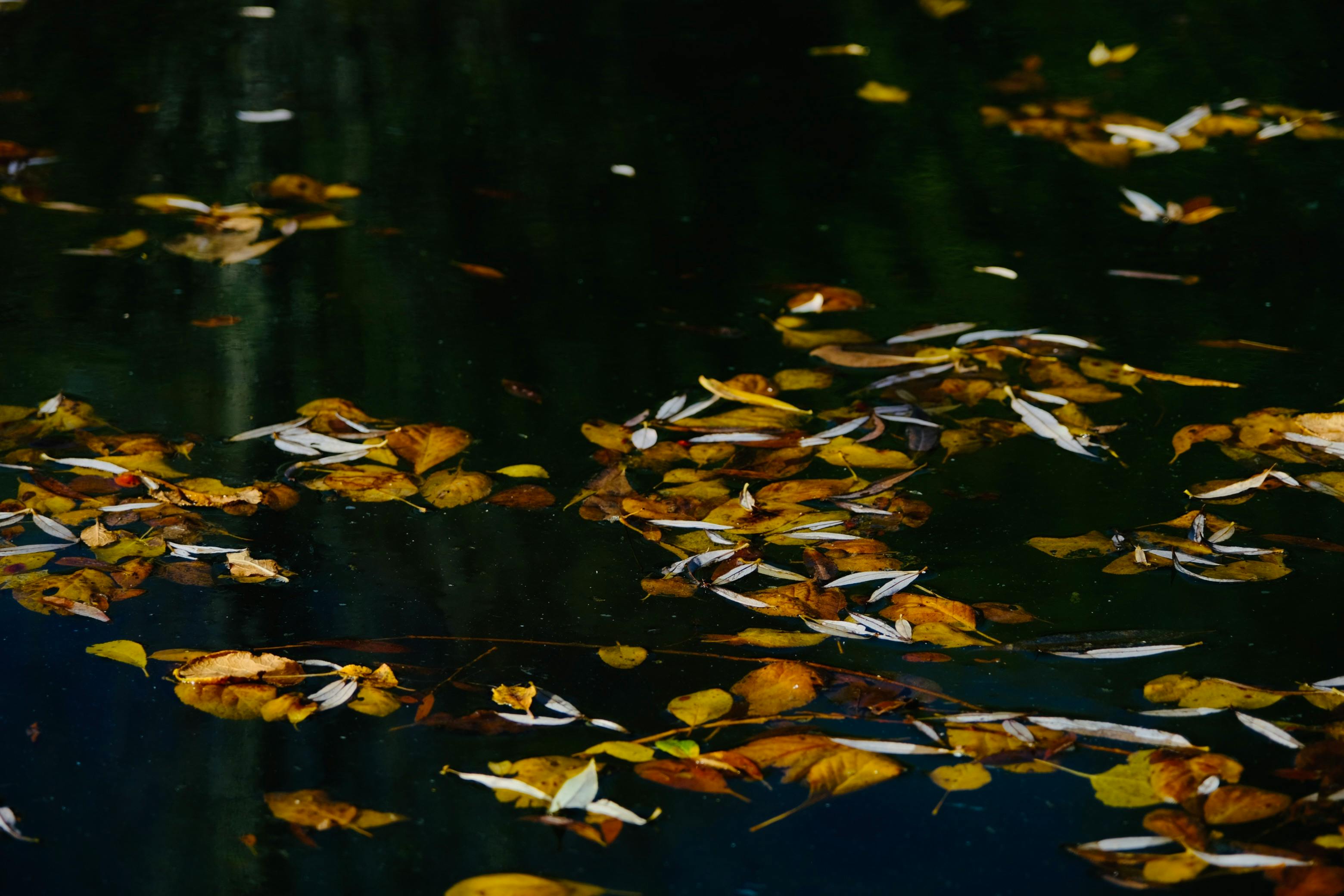 許世彬油畫展彰化生活美學館 展現溪流記憶與故事