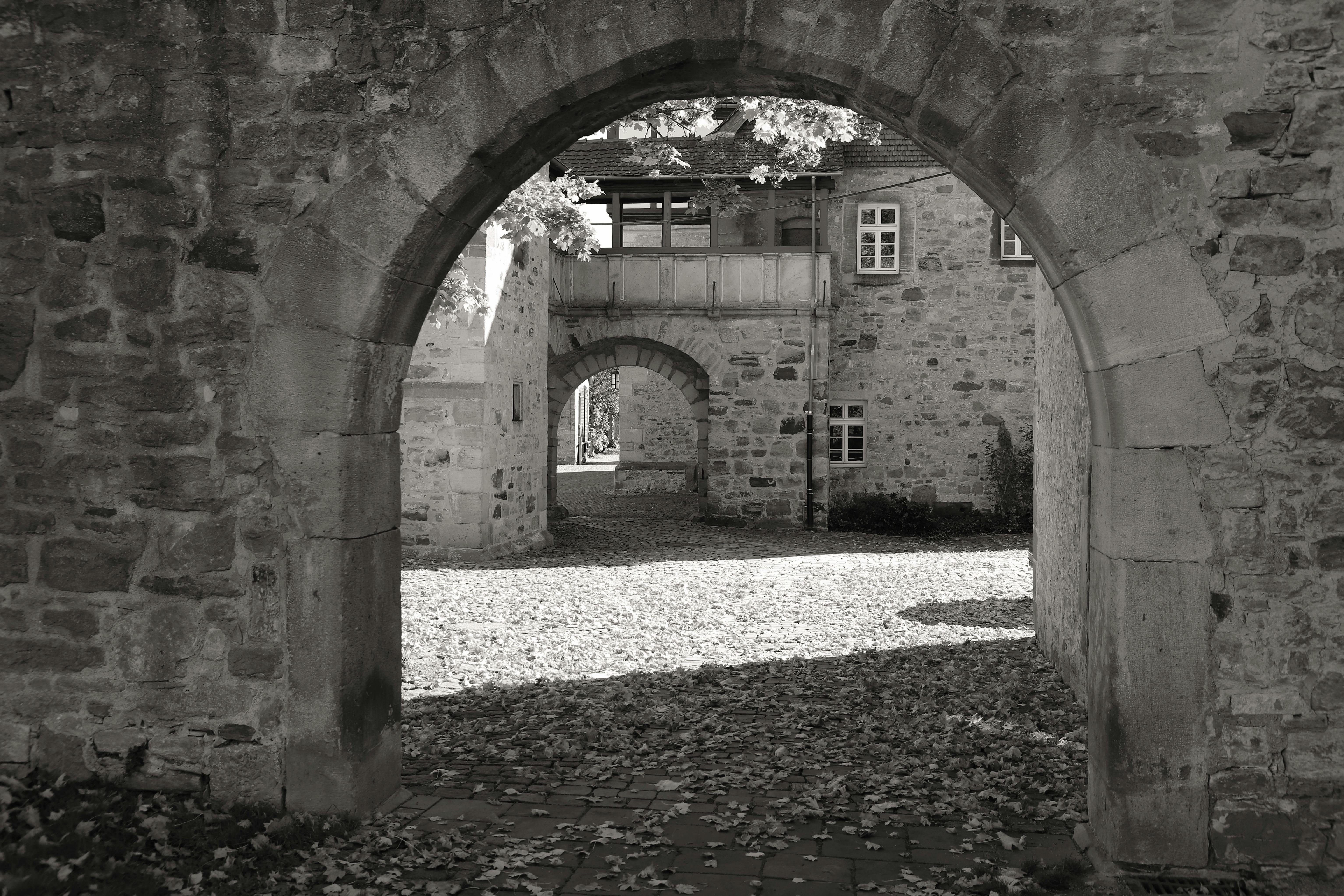 Can Ancient Remedies Replace Modern Medicine?