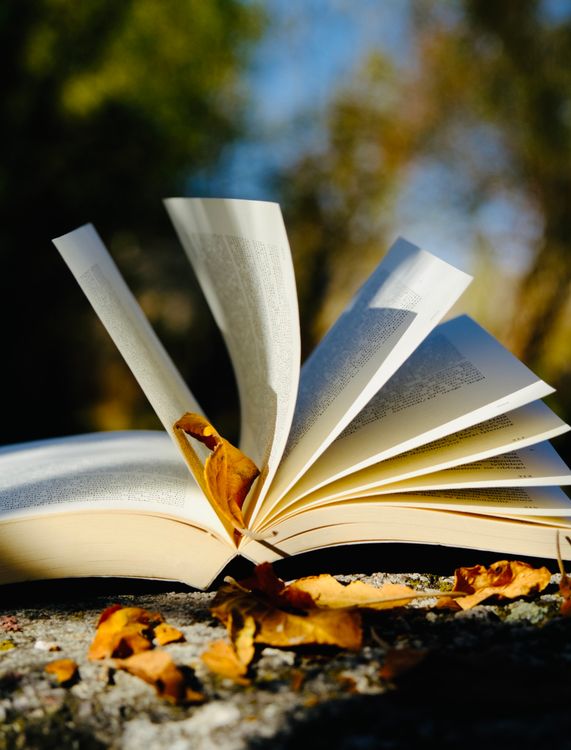 Open Book with Autumn Leaves Outdoors · Free Stock Photo