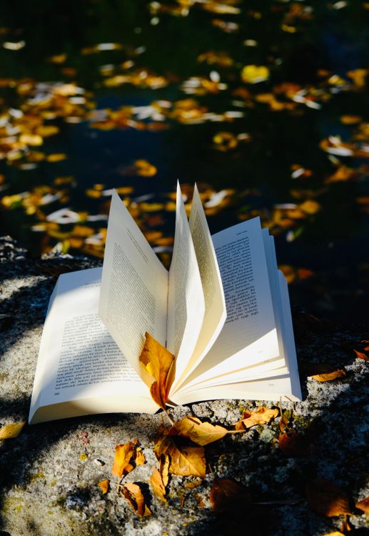 Book Open Fall Pfp Open Book with Falling Autumn Leaves · Free Stock Photo
