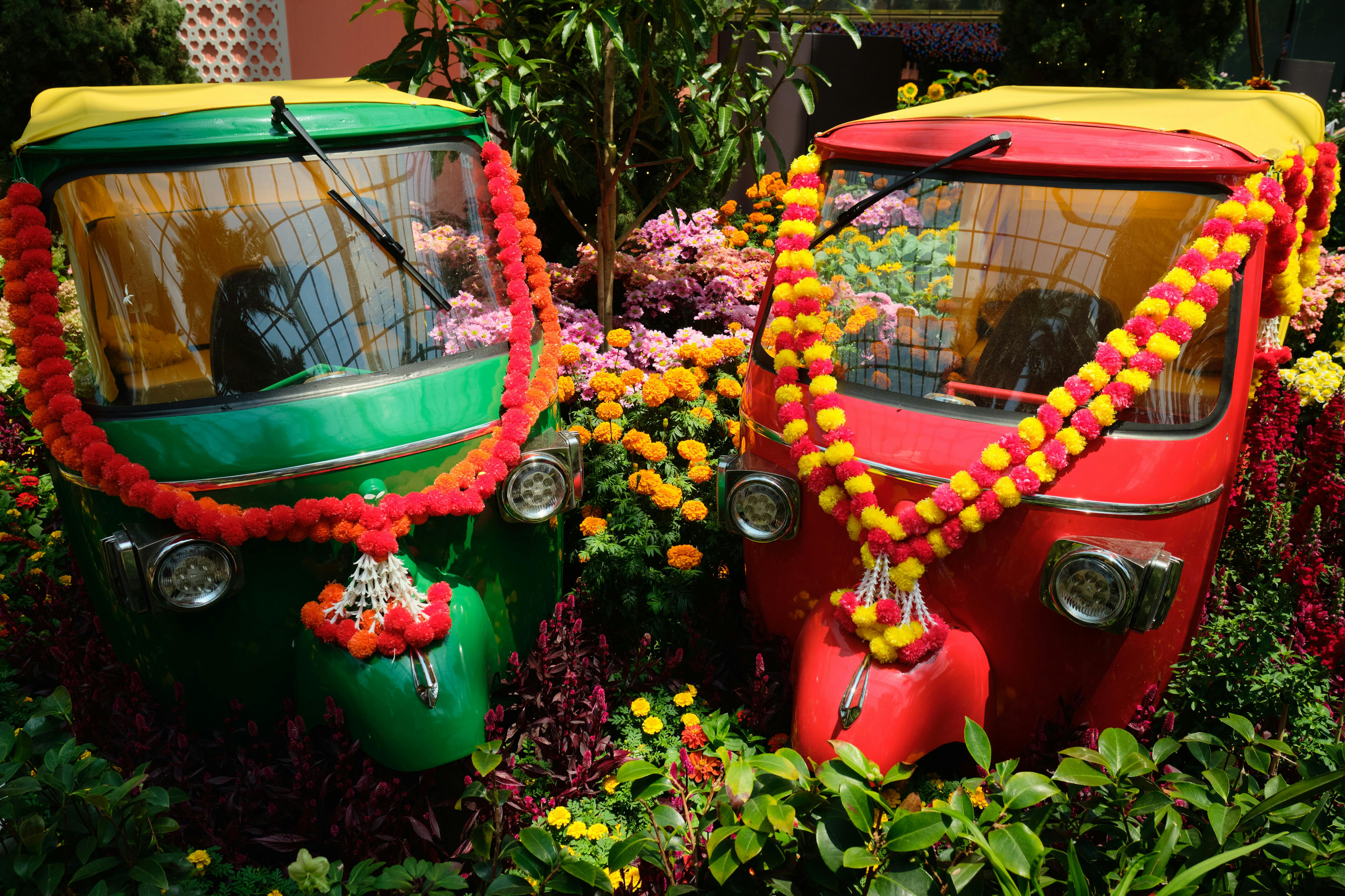 Colorful Auto Rickshaws Decorated with Marigold Garlands · Free Stock Photo