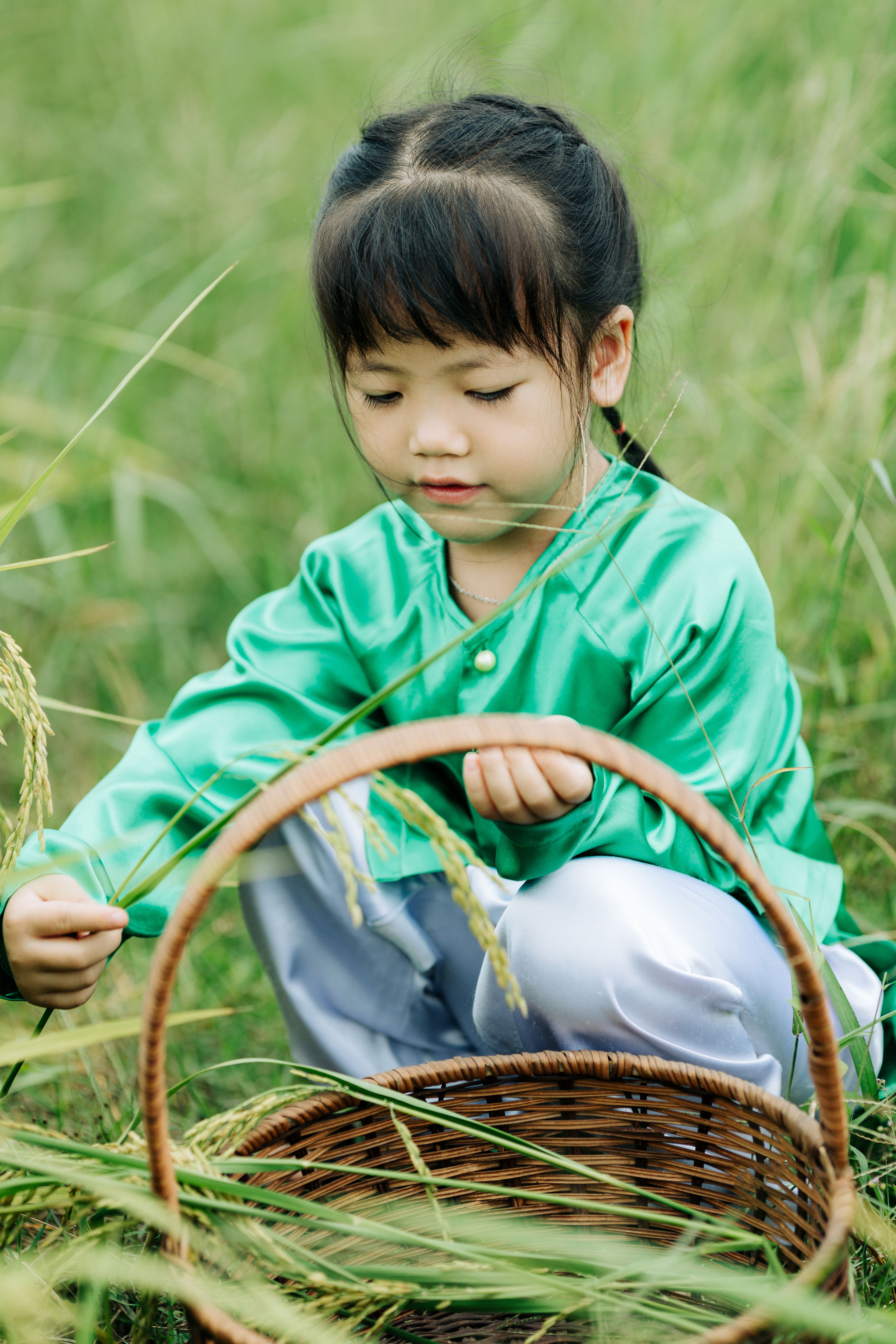 Vietnamese Child Harvesting Rice in Field · Free Stock Photo