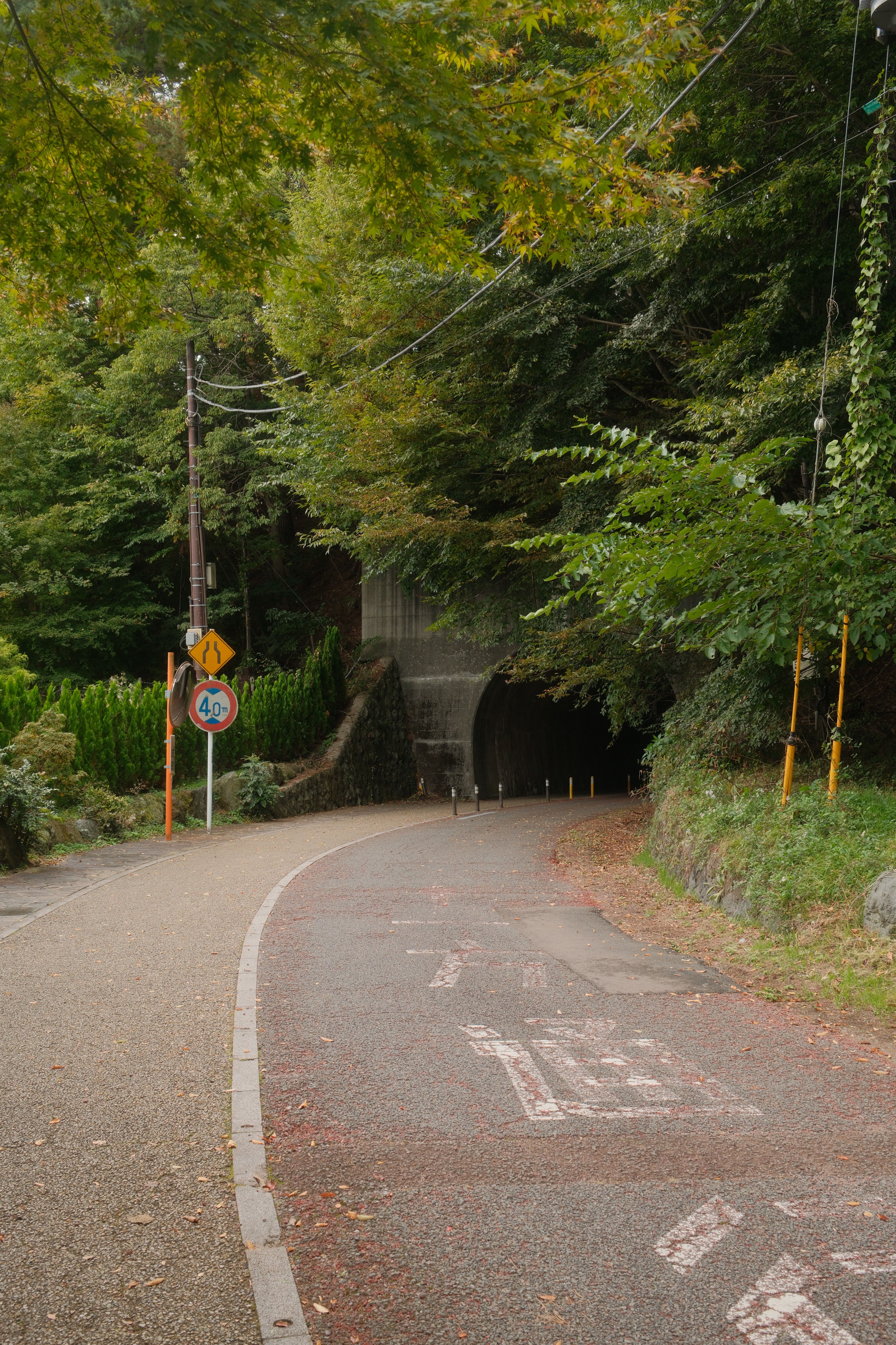 A serene tunnel entrance surrounded by lush greenery in Fujikawaguchiko, Japan during autumn.