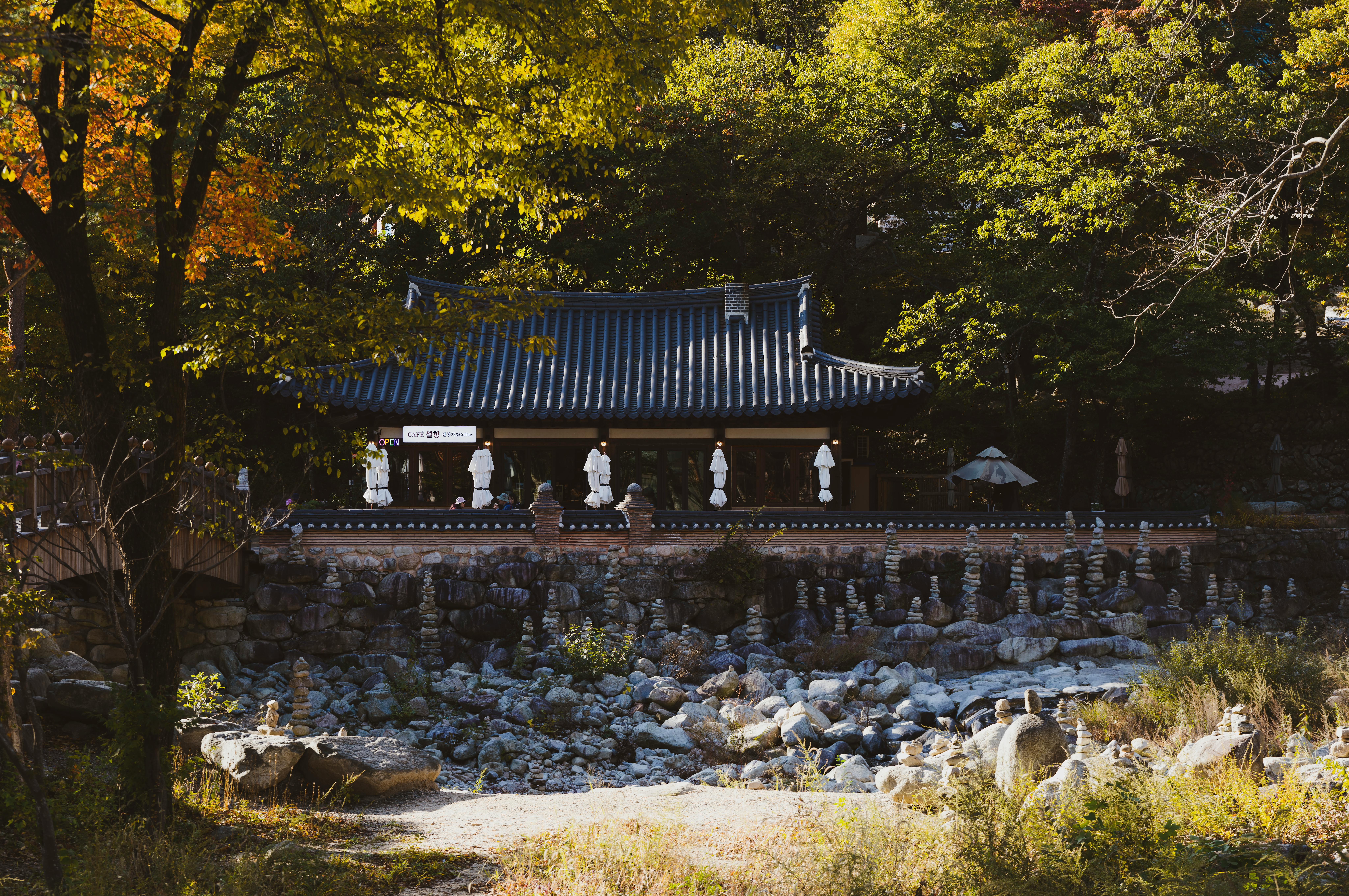 Ancient Mysteries and Modern Finance Intrigue