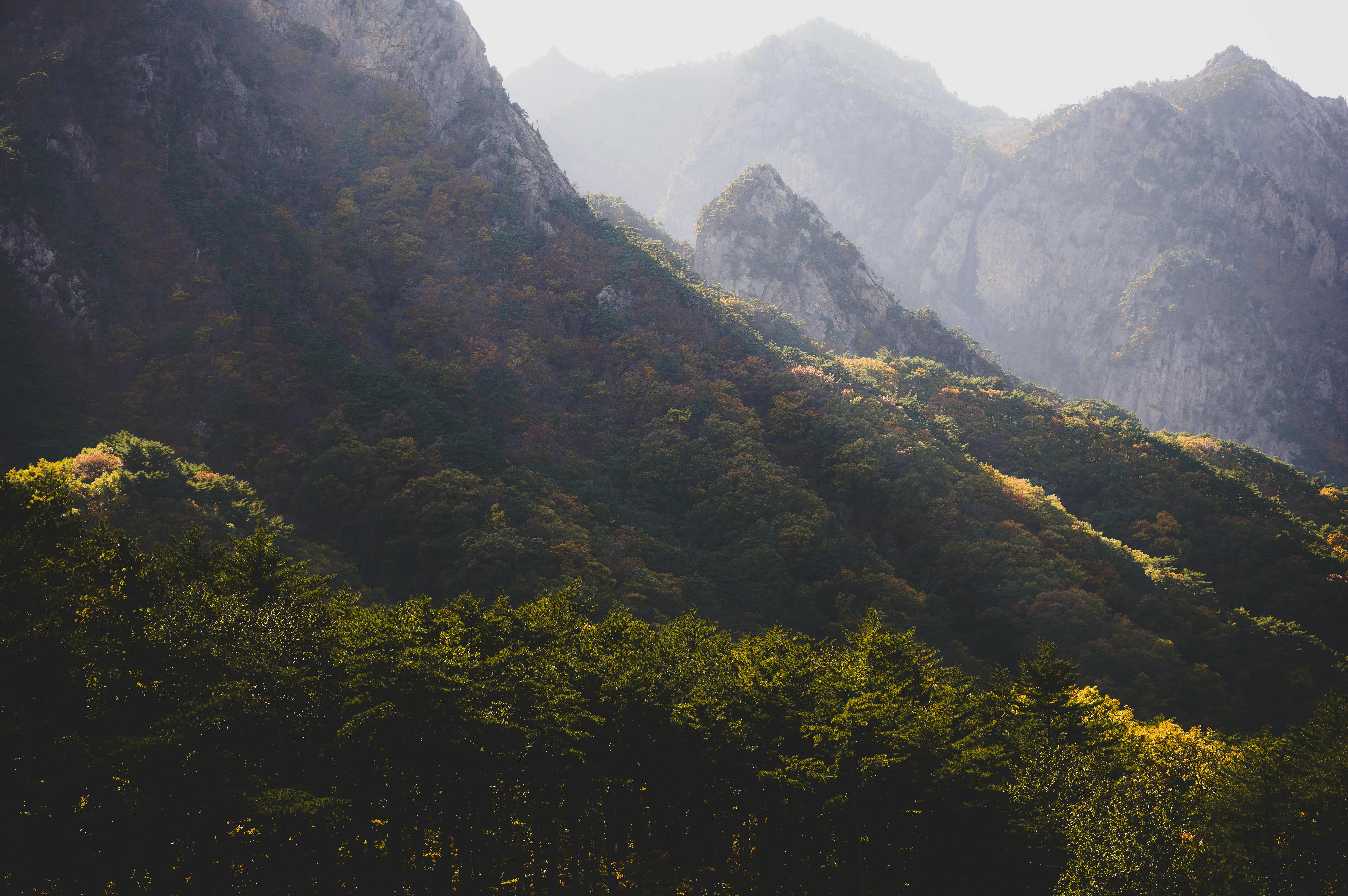 台北國際旅展開幕 韓國館胎拳道表演吸引眾人目光