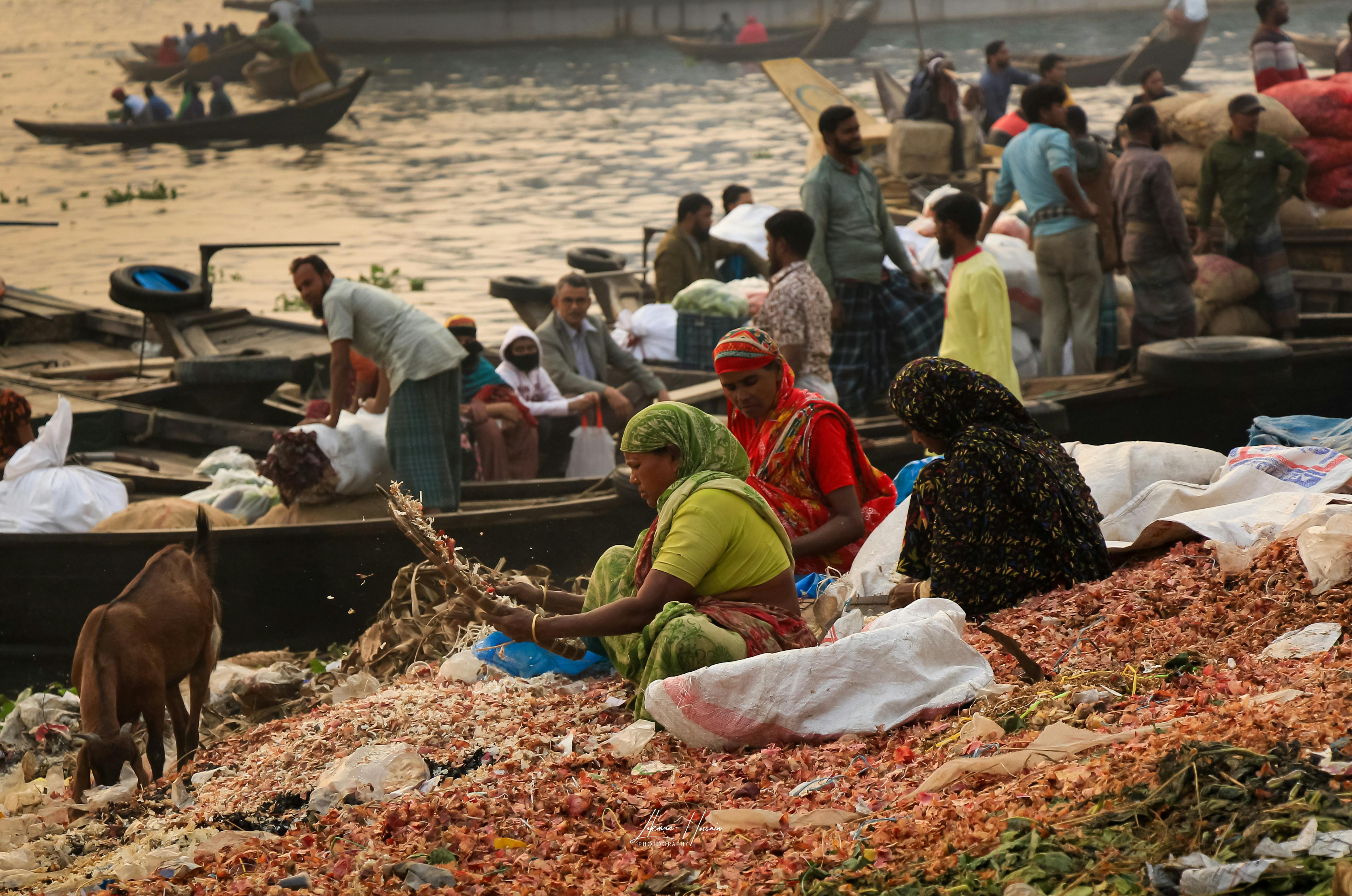 Impacts on Community Dynamics