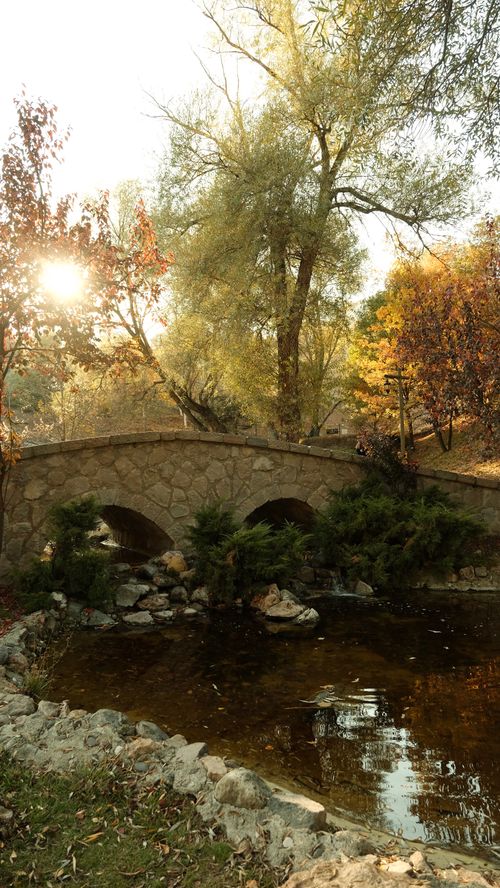 Free Sunlit autumn park with a stone bridge over a peaceful stream, surrounded by colorful foliage. Stock Photo