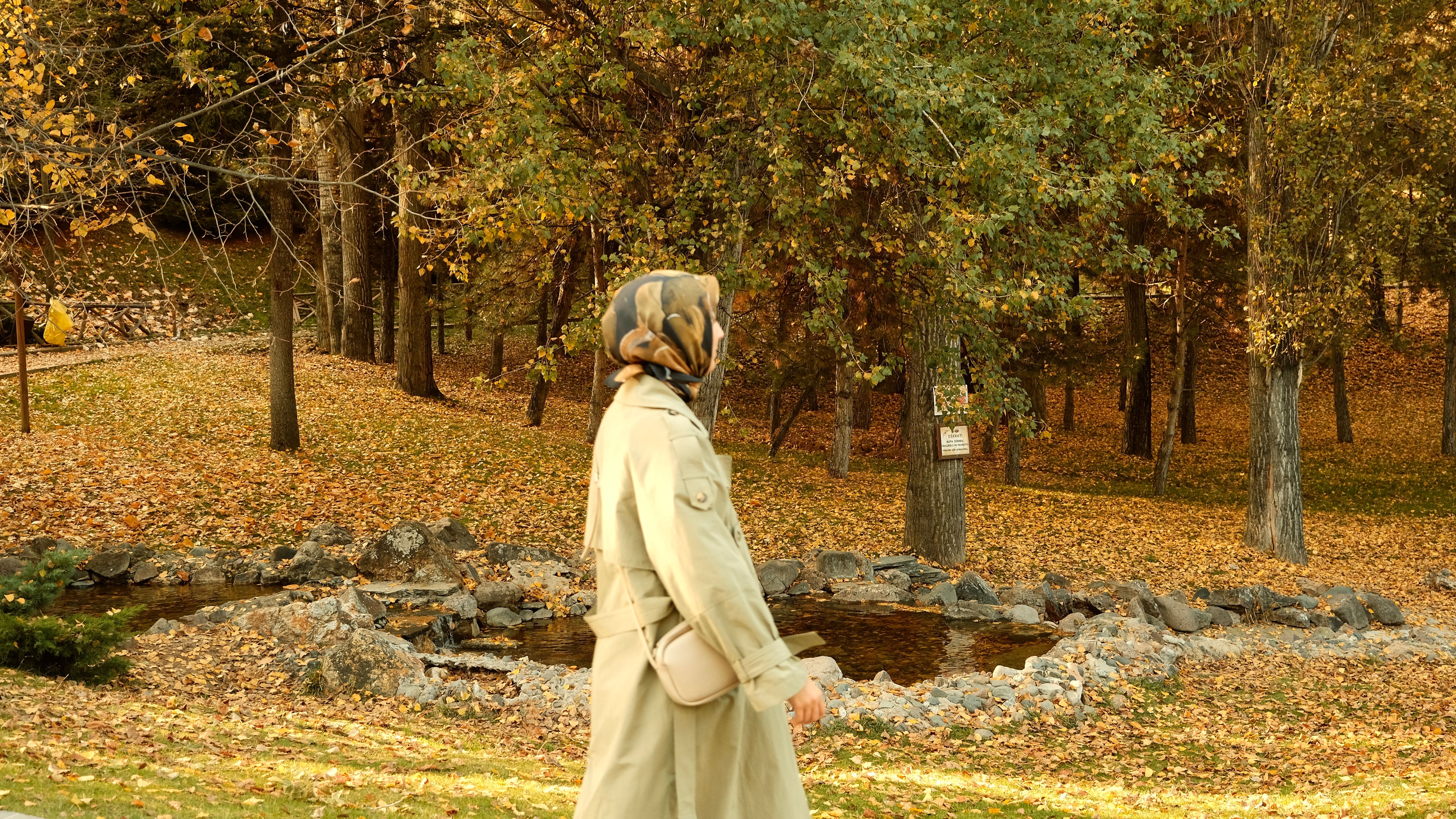 Simple wins with a stroll after dinner — a gentle guide