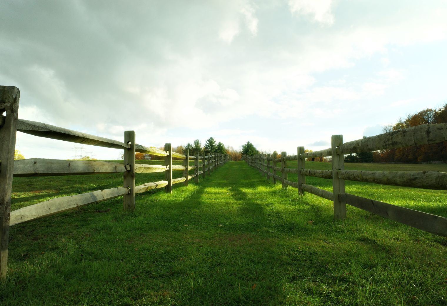 Fence and Decking Painting in Upney — the finished result after a professional repaint