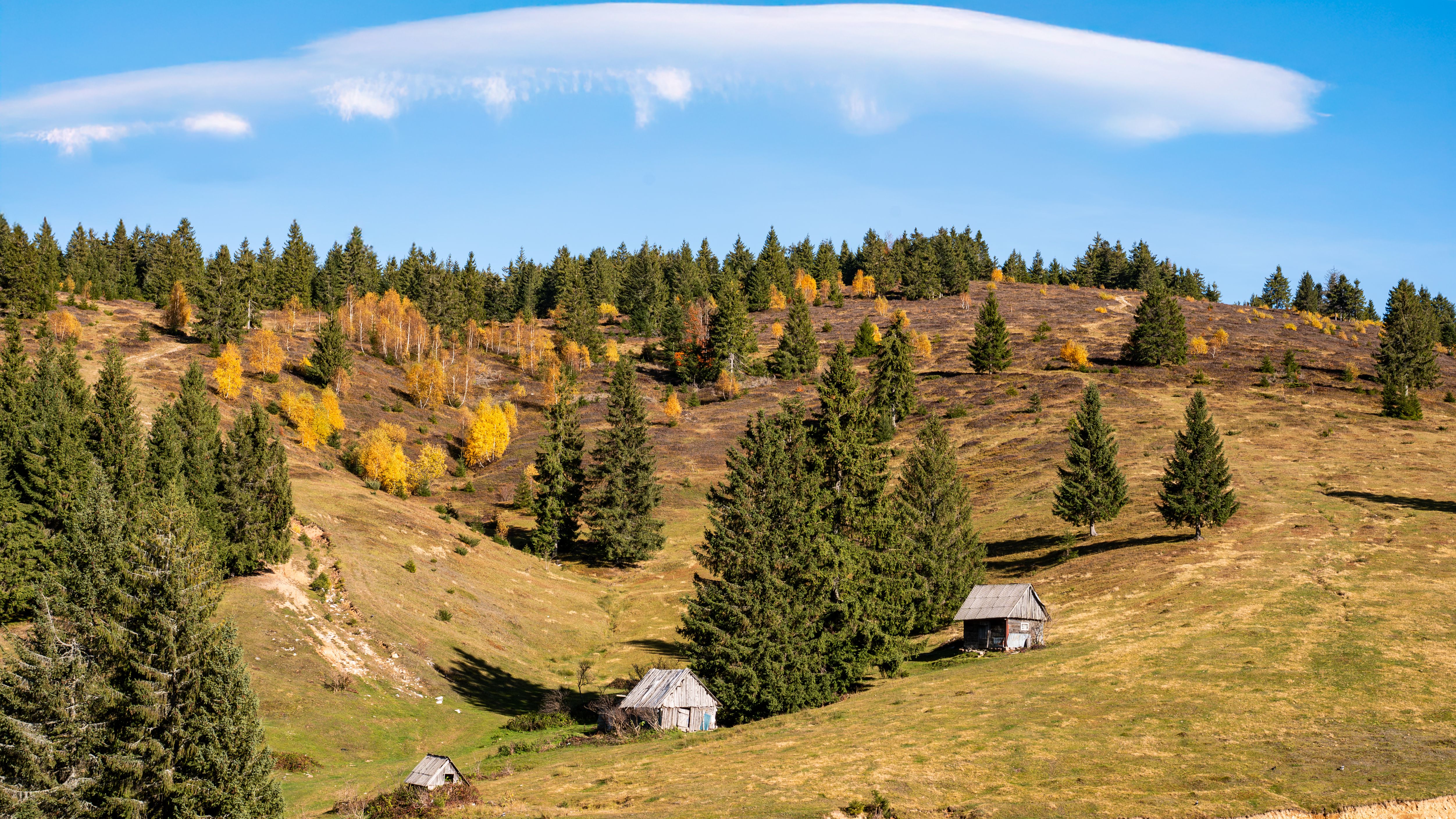 Scenic Autumn Landscape with Rustic Cabins · Free Stock Photo