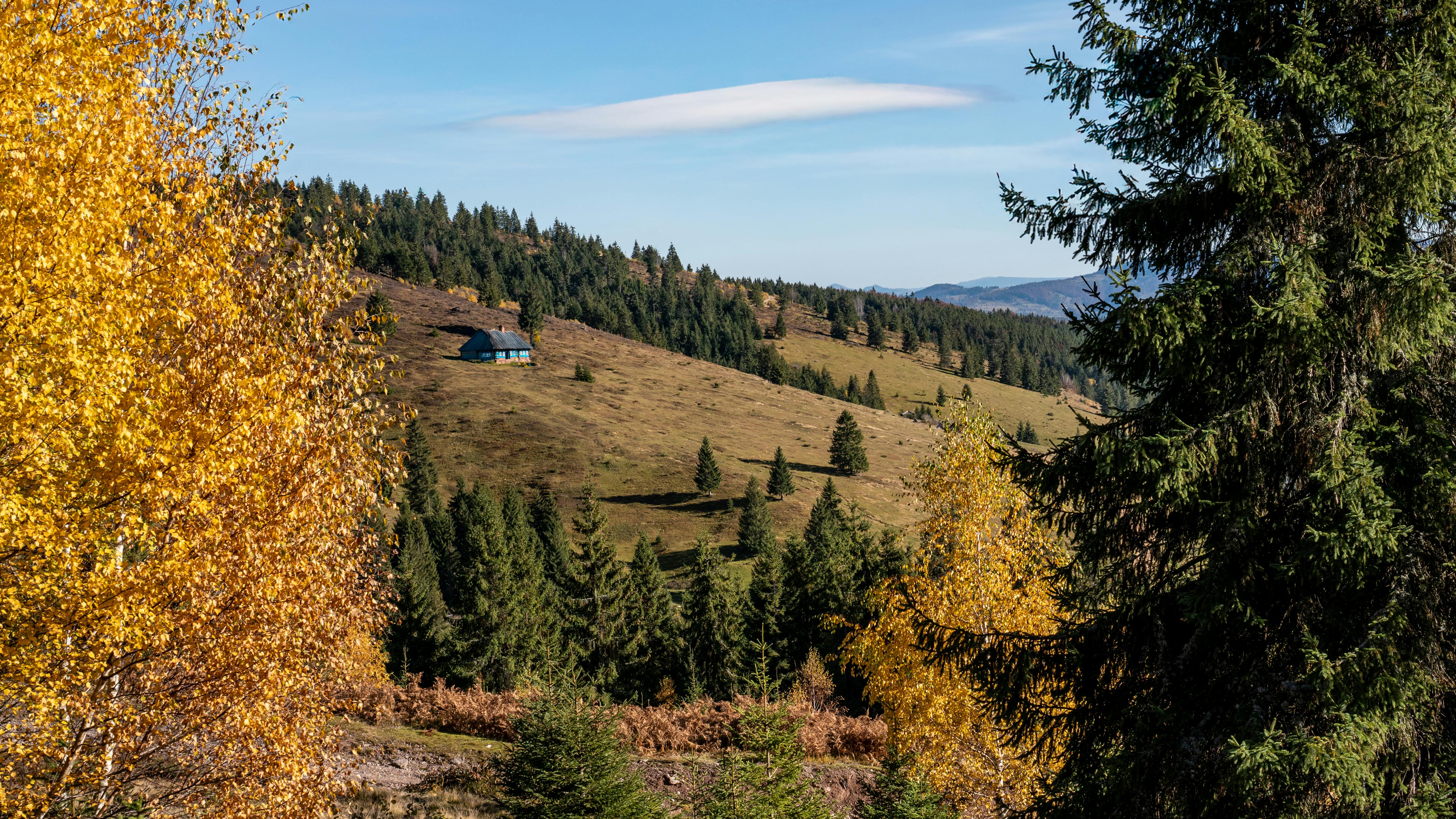 Free stock photo of adventure, autumn, blue sky