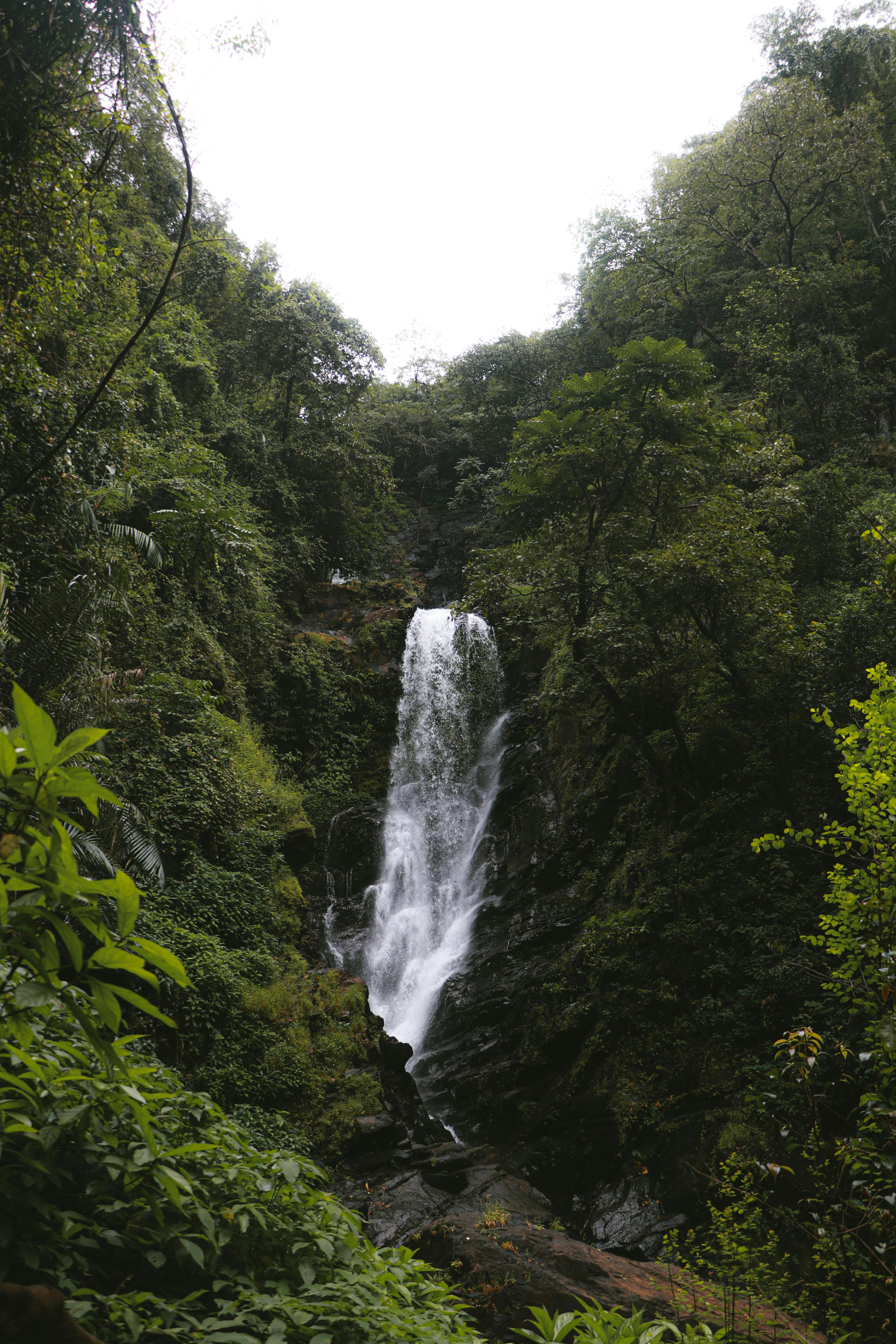 Altın sahiller, palmiye gölgeleri