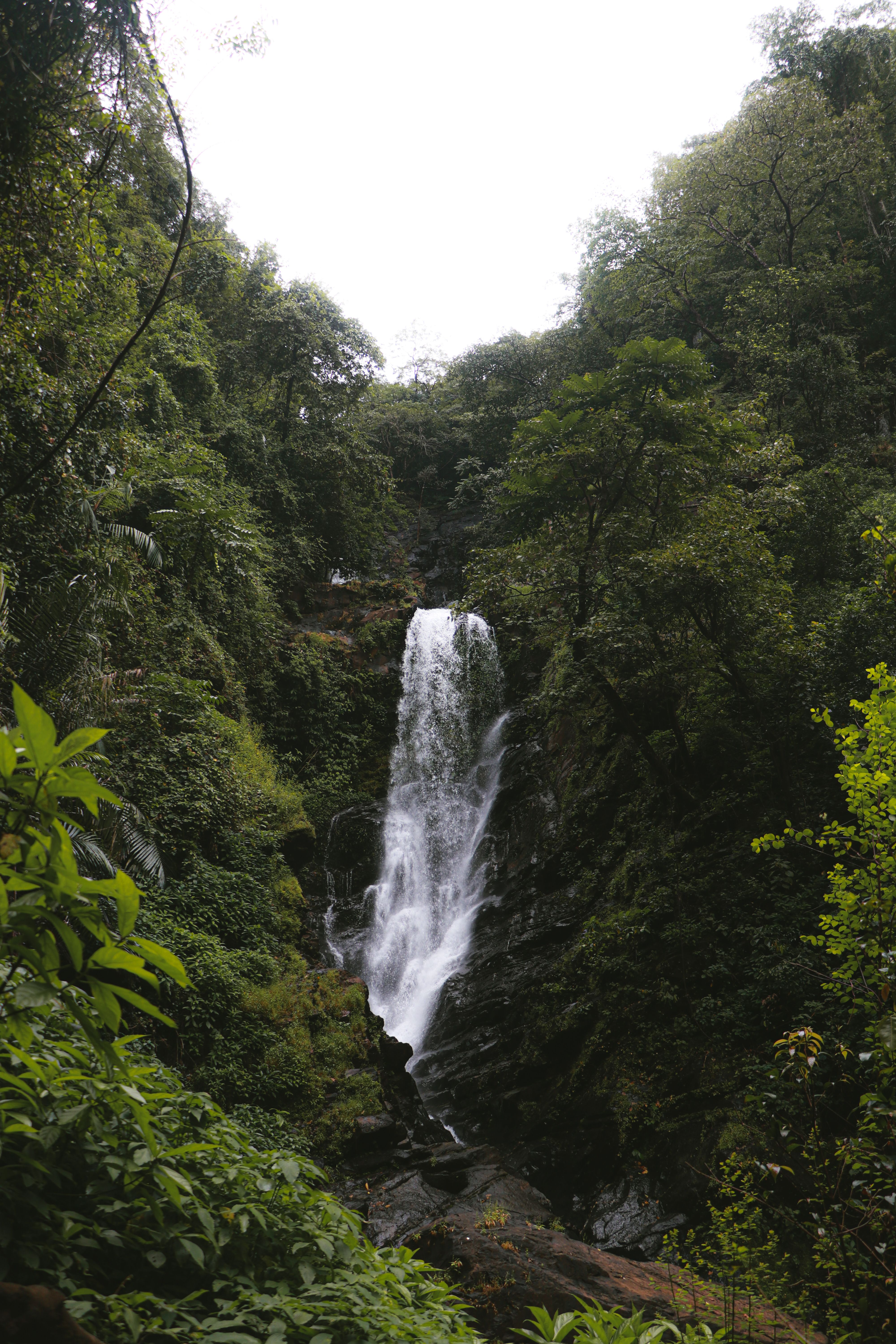 La Majestueuse Cascade De Savri Dans Une Forêt Verdoyante Luxuriante ...