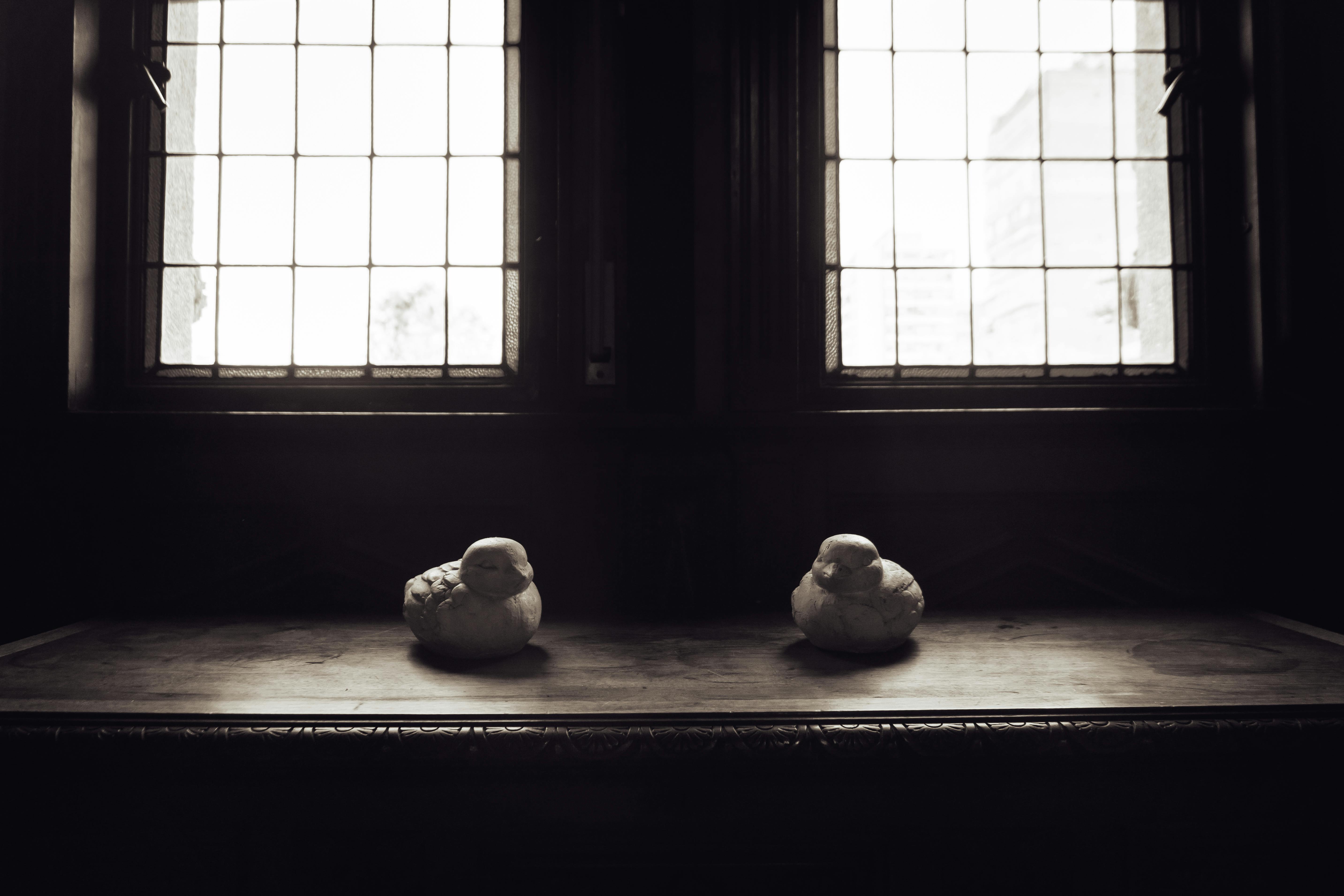 Gratuit Fotografie alb-negru cu figurine de păsări pe o masă într-un interior vintage cu ferestre mari. Fotografie de stoc