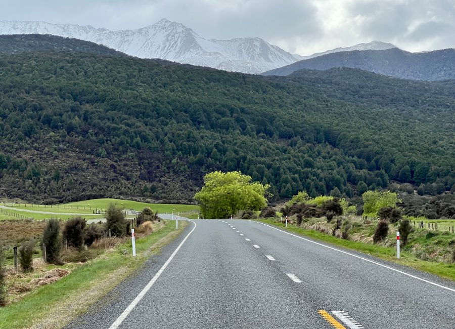 Picturesque road leading through lush forests and snowy mountains in Southland, New Zealand.