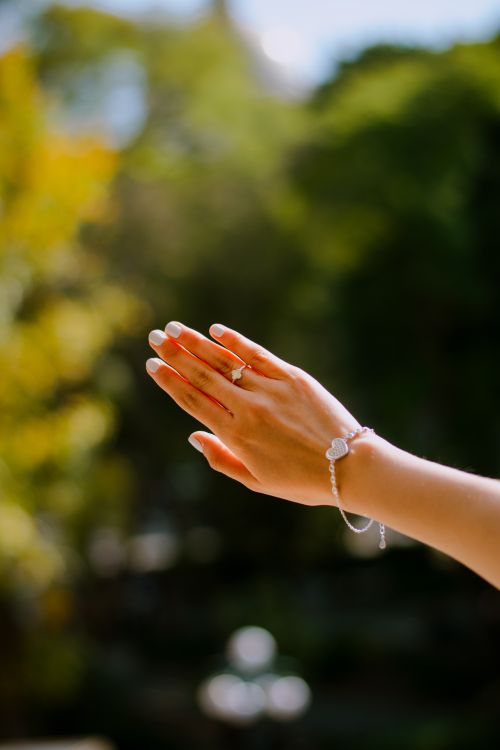 Free A woman's hand with a bracelet reaching towards the sunlight in a lush outdoor setting. Stock Photo
