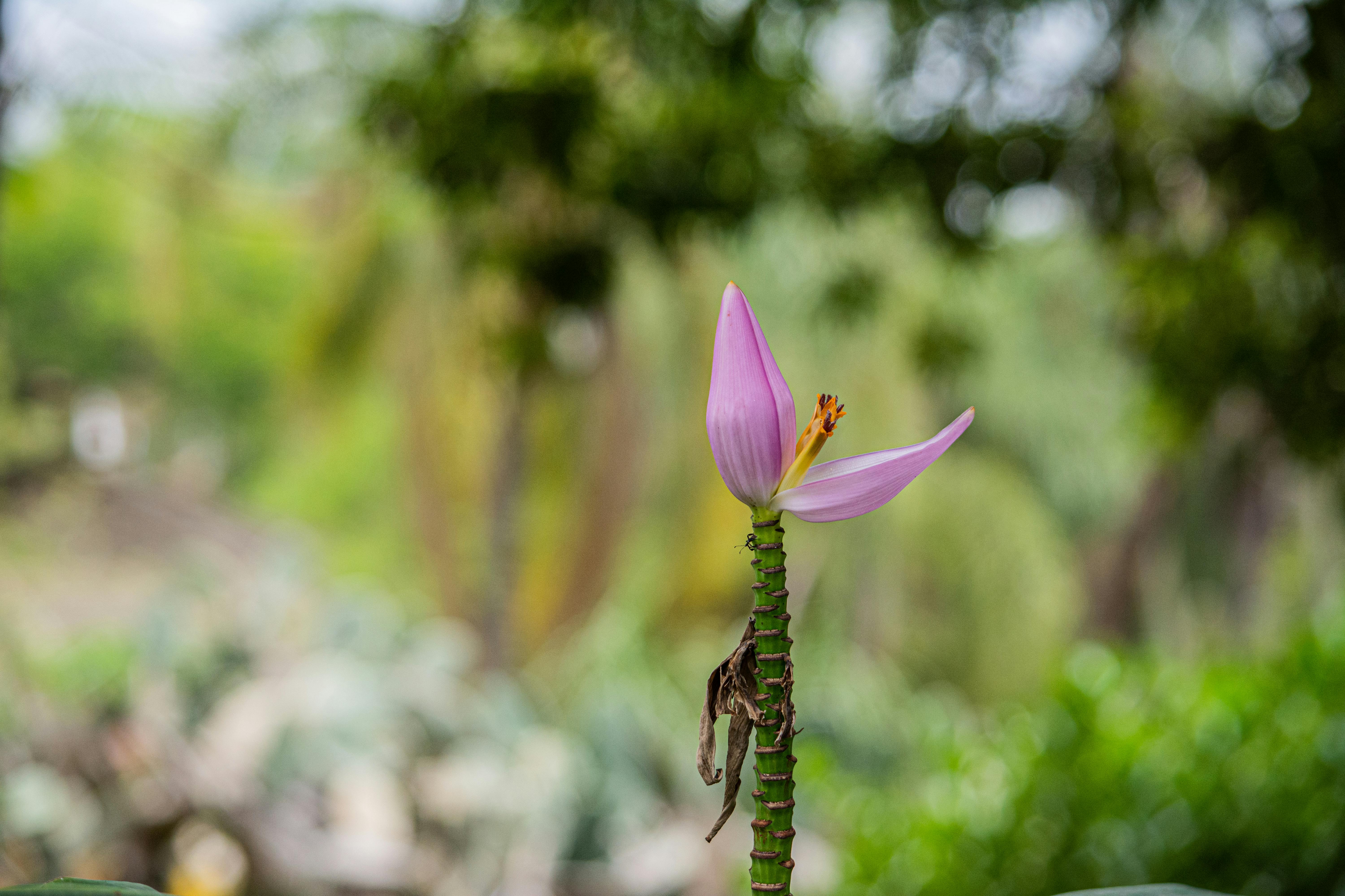 2025國際佛教花藝論壇藝術展11月2日盛大開幕