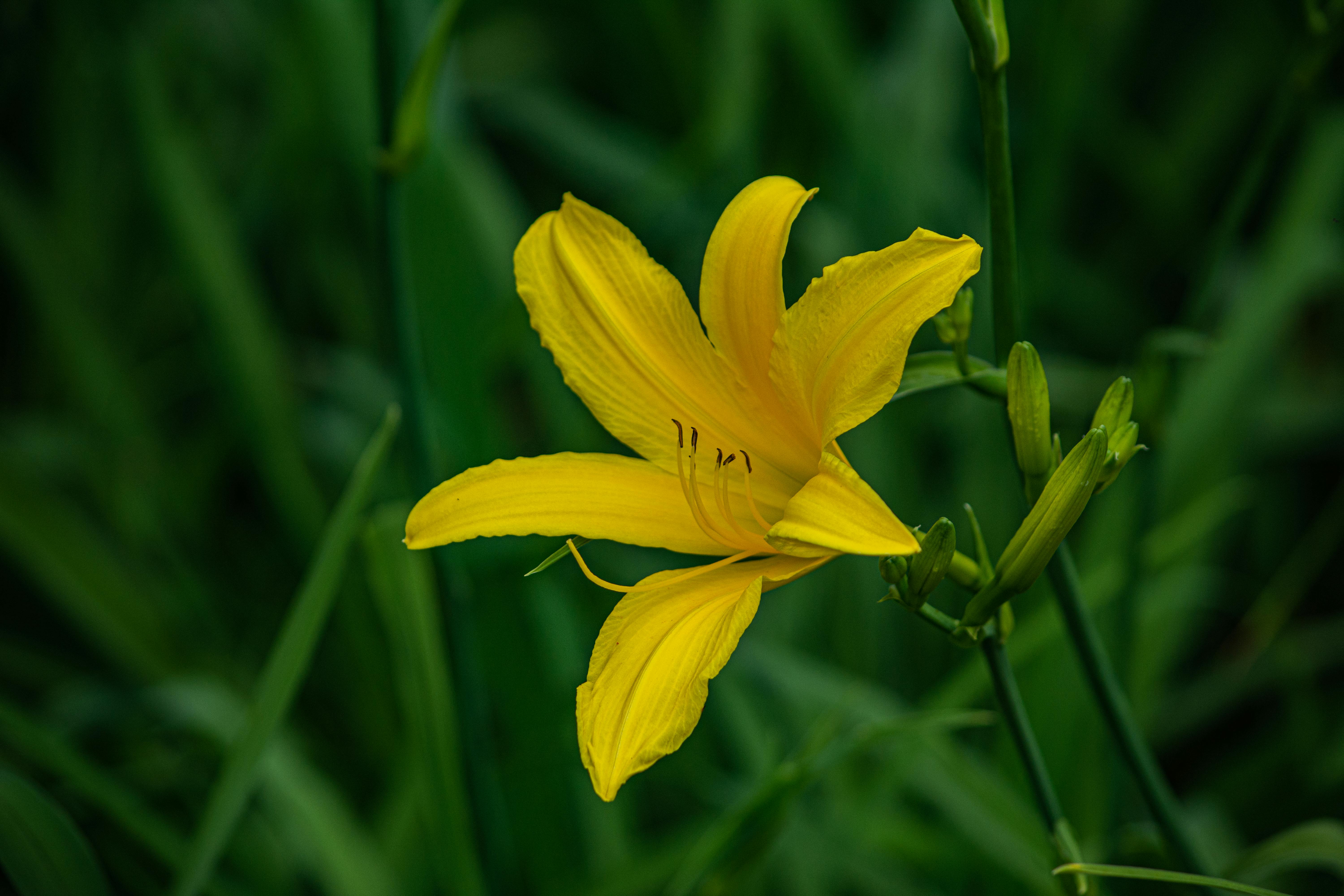 2025國際佛教花藝論壇藝術展11月2日盛大開幕