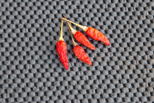 Free stock photo of chilli