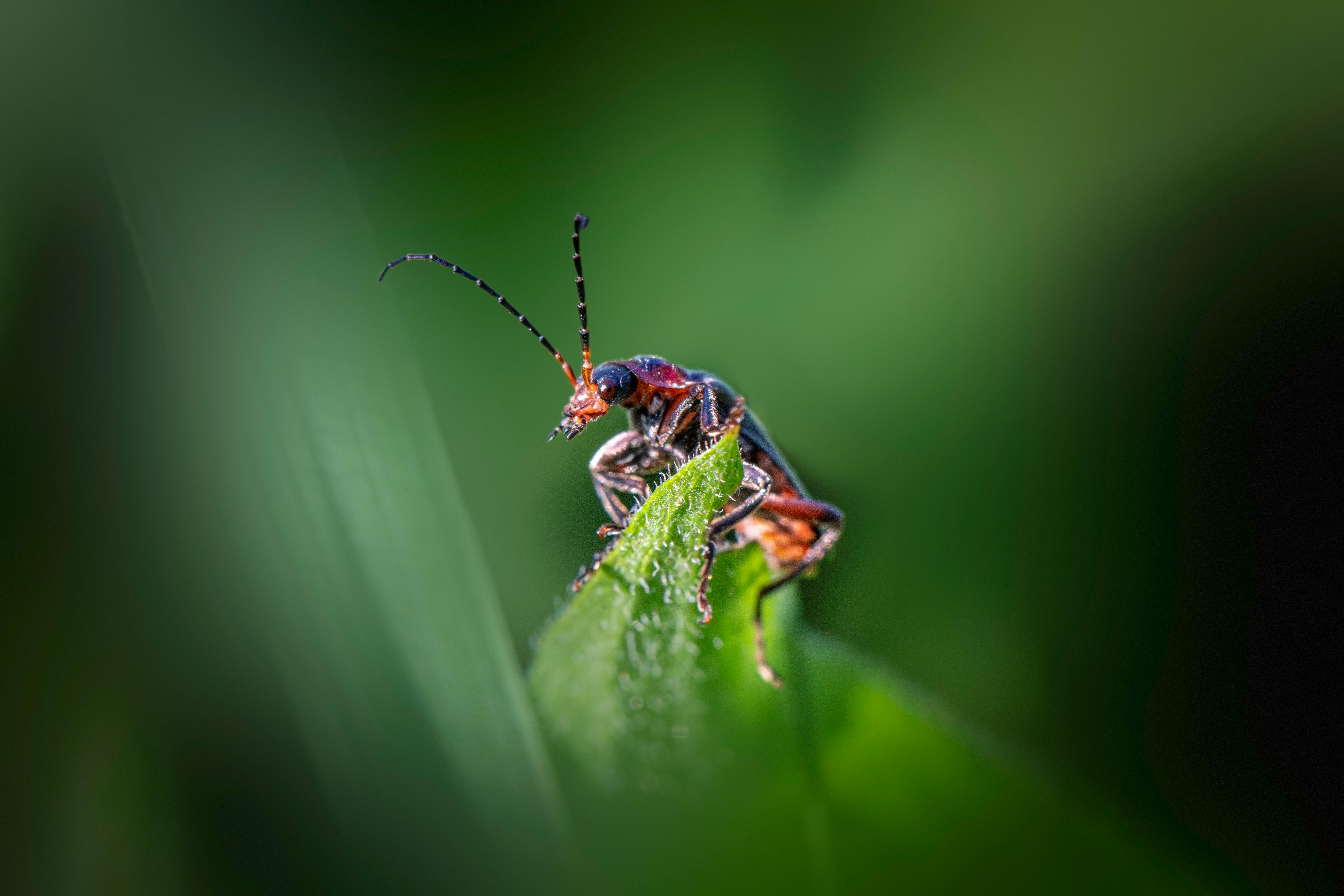 2025國際佛教花藝論壇藝術展11月2日盛大開幕