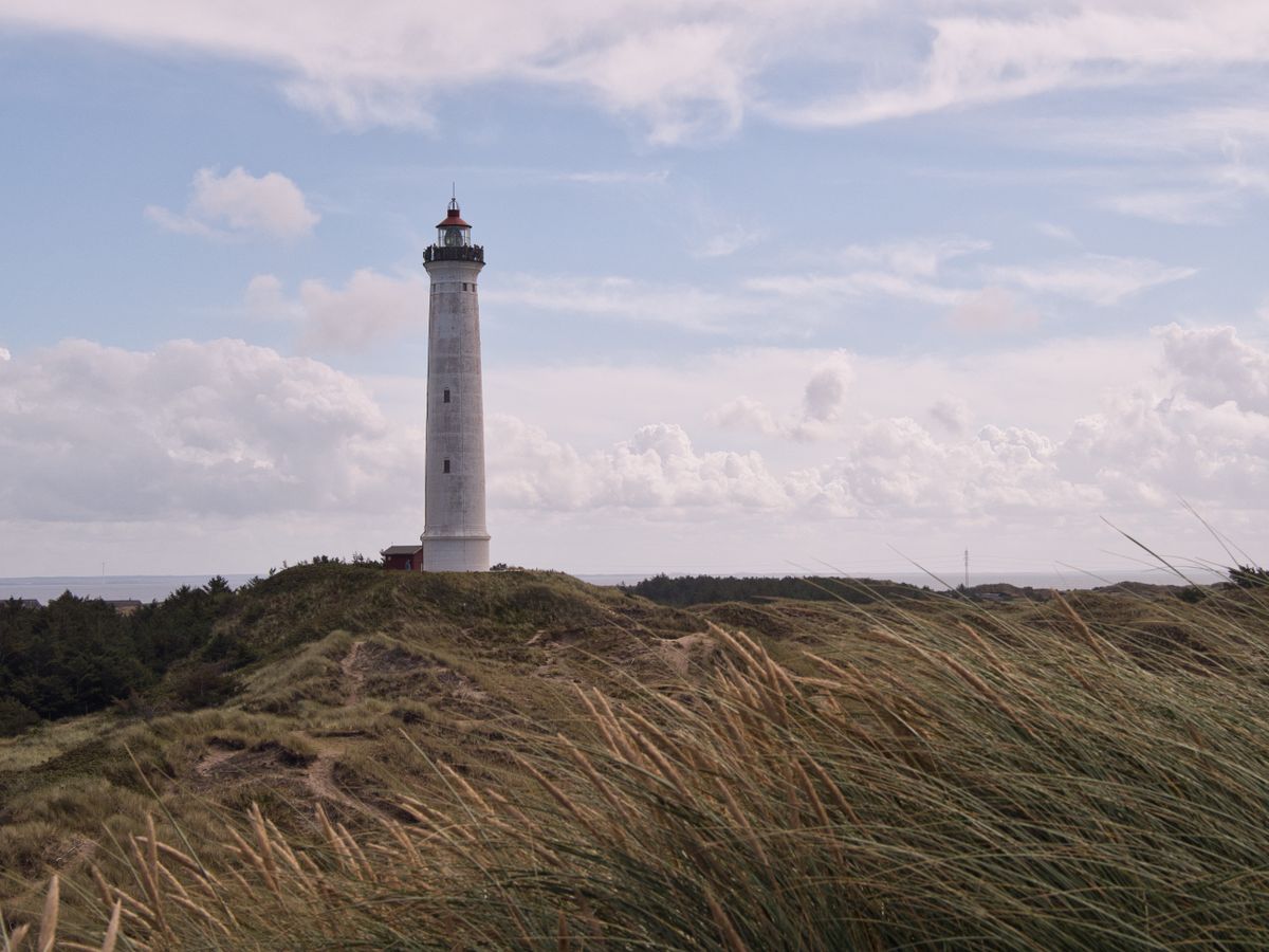 Yellow Skagen houses and beach grass