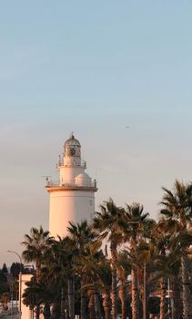 Beautiful sunset at the Málaga Lighthouse surrounded by palm trees.