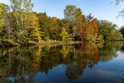 Free Peaceful lake reflecting colorful autumn trees in a serene landscape setting. Stock Photo