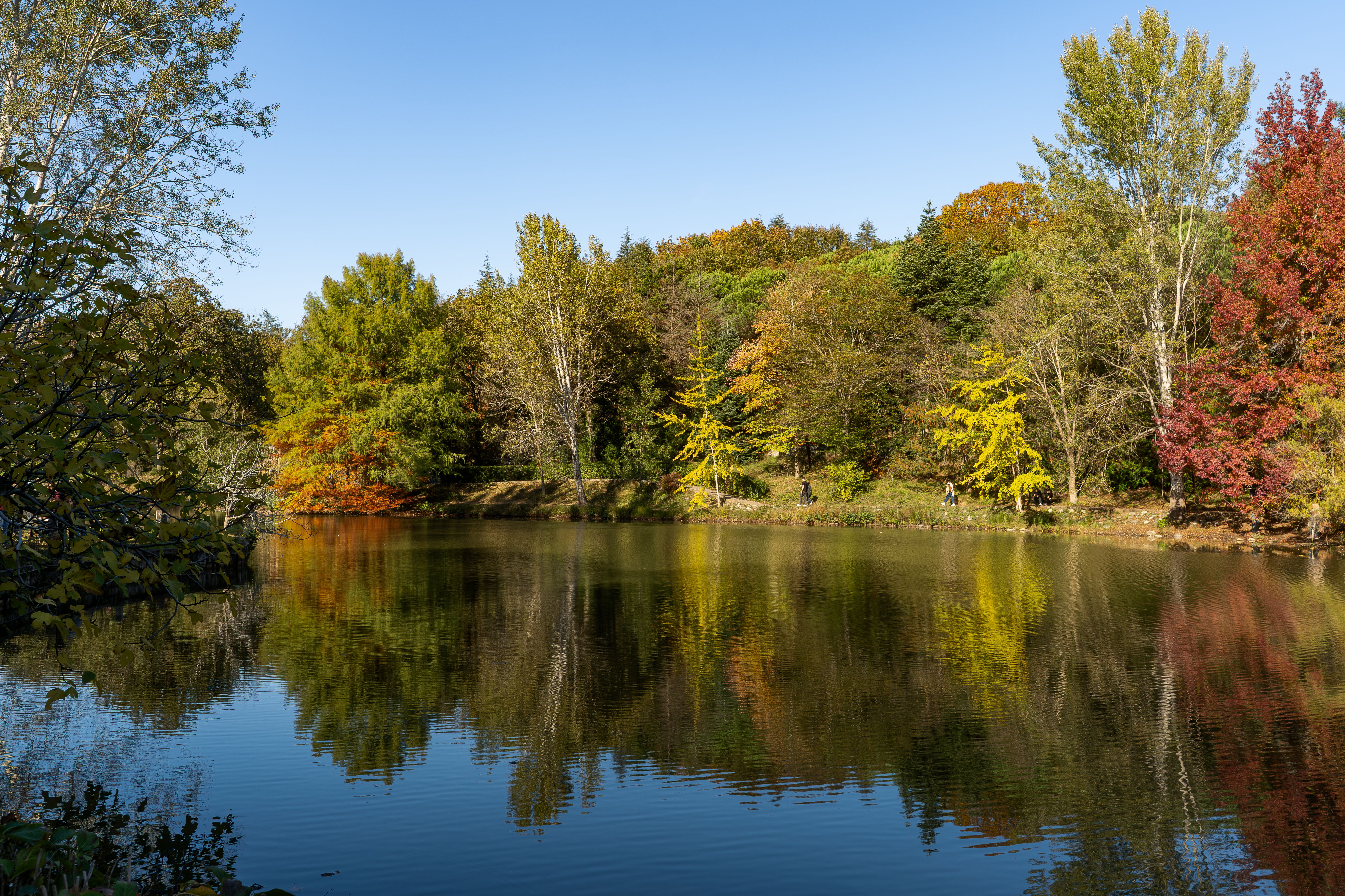Serene Autumn Lake with Colorful Reflections · Free Stock Photo