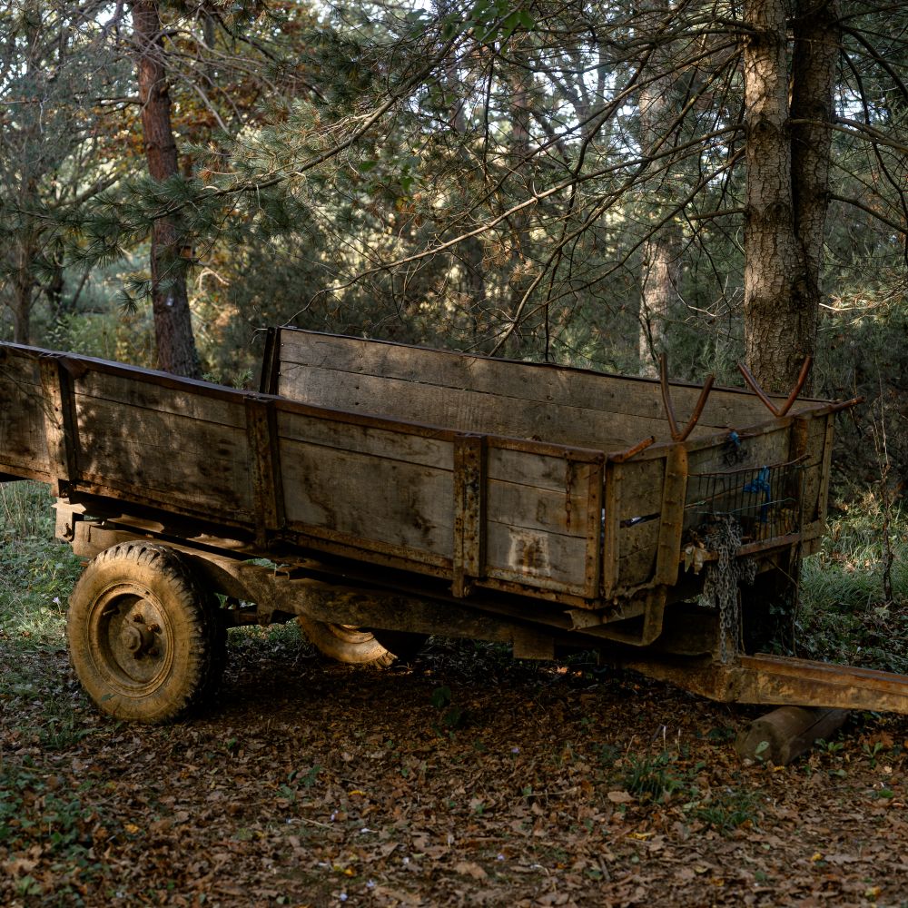Callow Hill — student move with boxes and a van