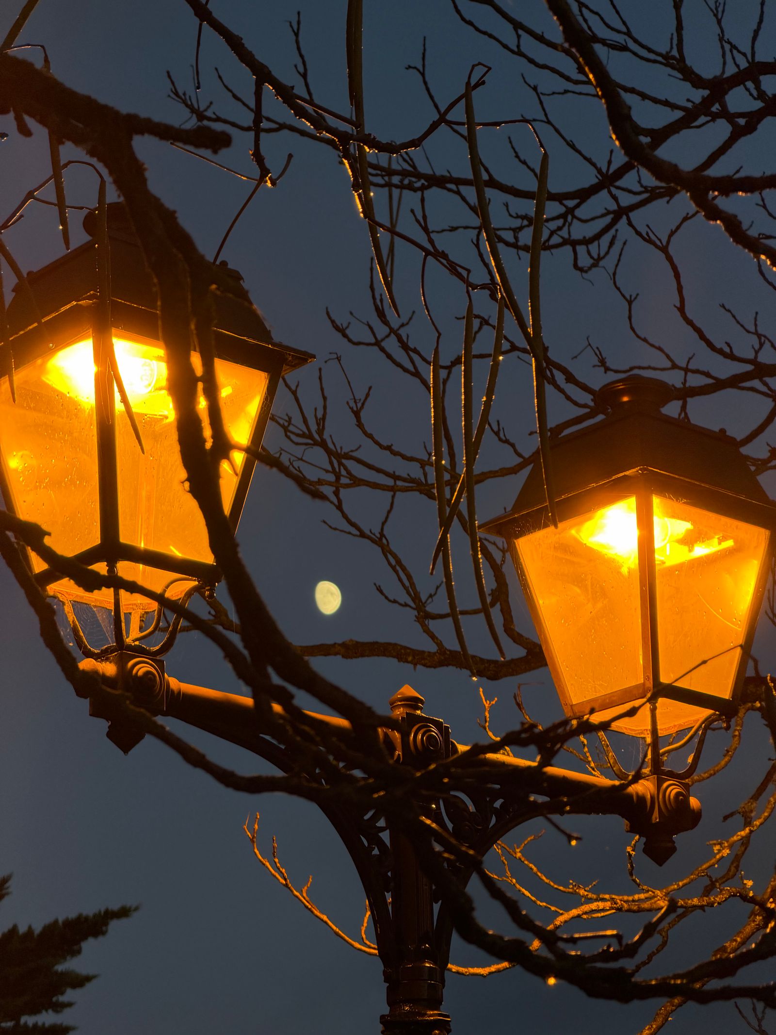 lampadaire lunaire