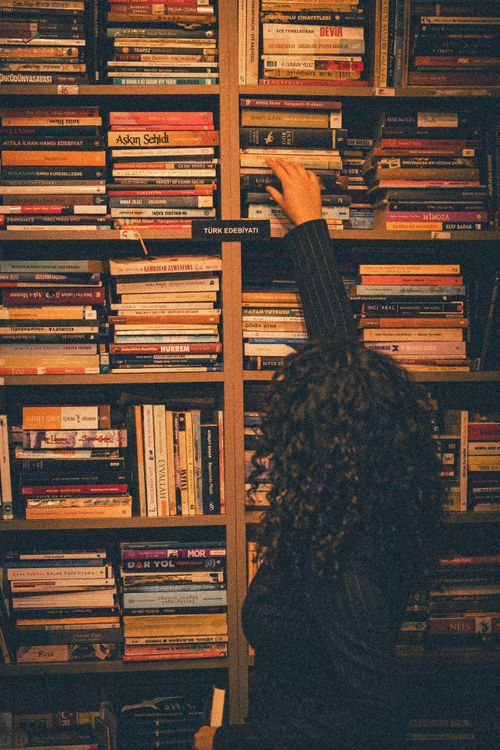 Free Person with curly hair browsing a bookshelf in a cozy library setting. Stock Photo
