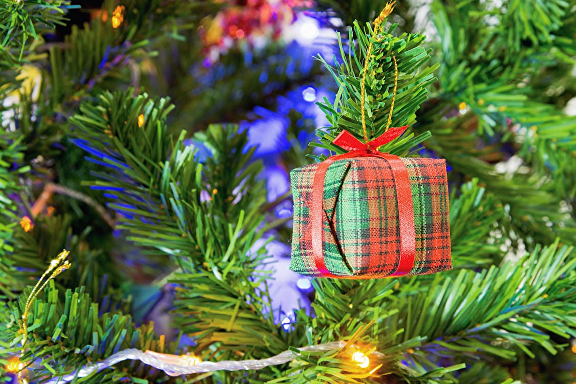 Ingyenes stockfotó ajándék, dekoráció, Karácsony témában Stockfotó