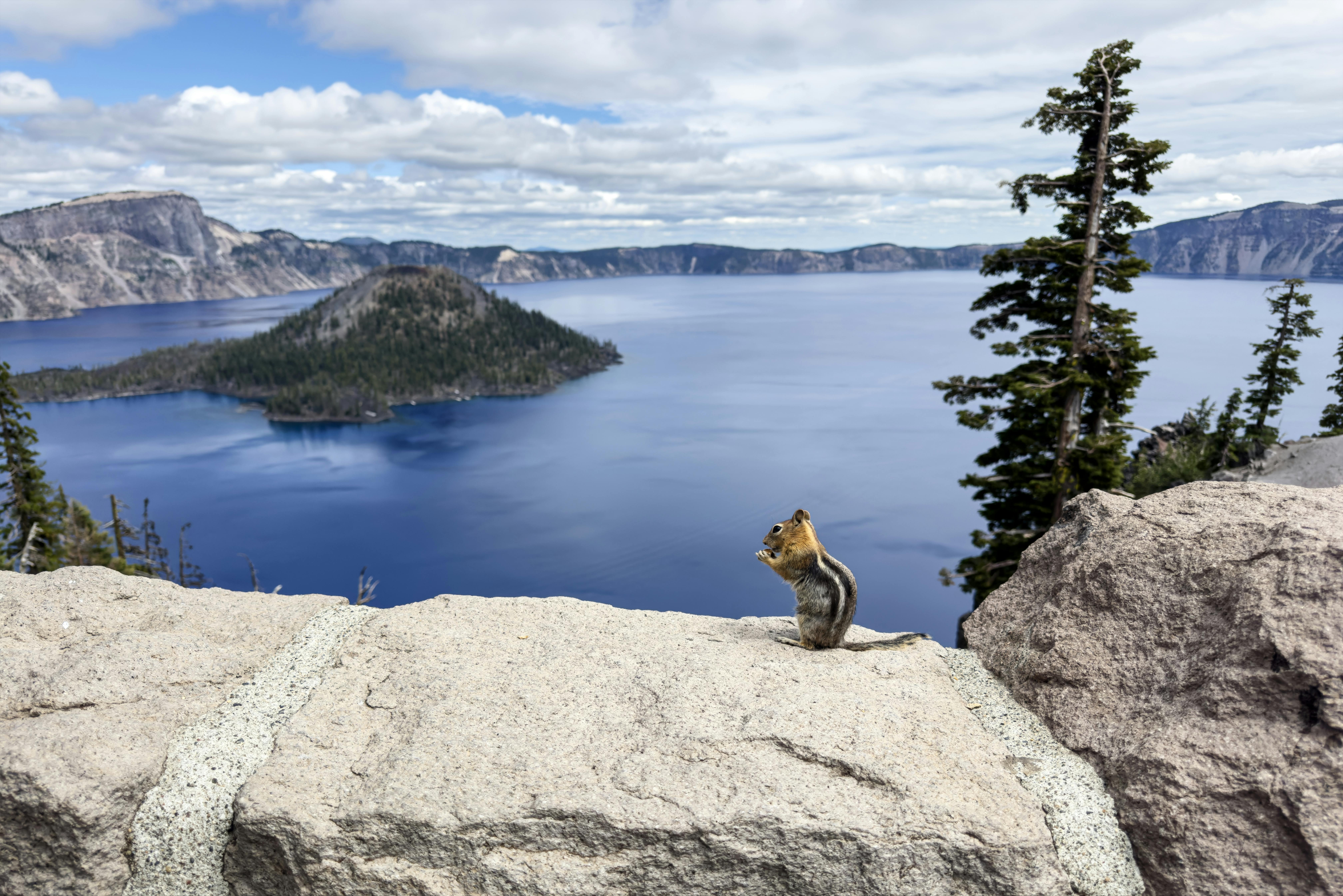 A chipmunk overlooks the stunning Crater Lake with vibrant blue water and rugged mountains in Oregon, USA.