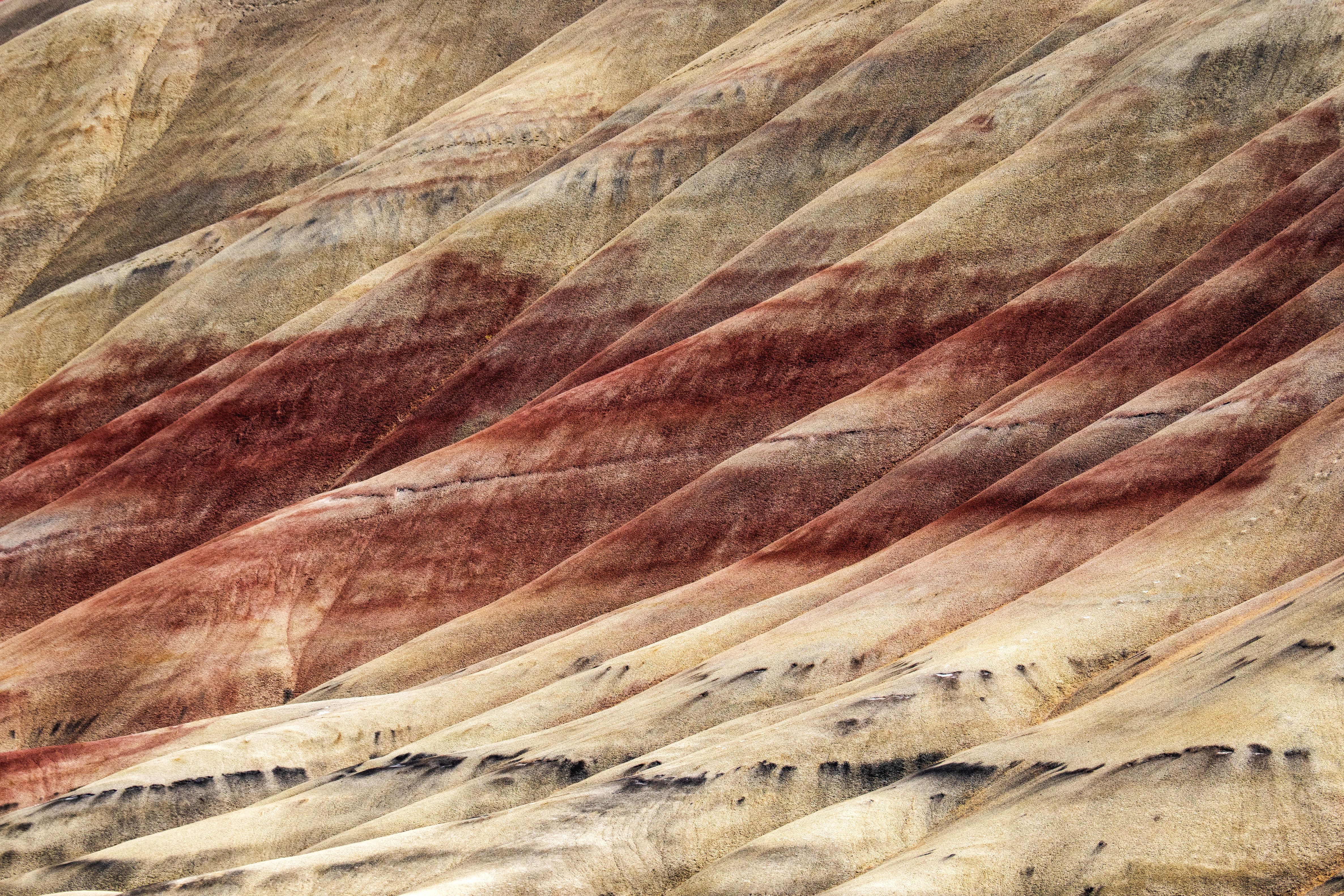 Colorful Patterns of Painted Hills Landscape · Free Stock Photo
