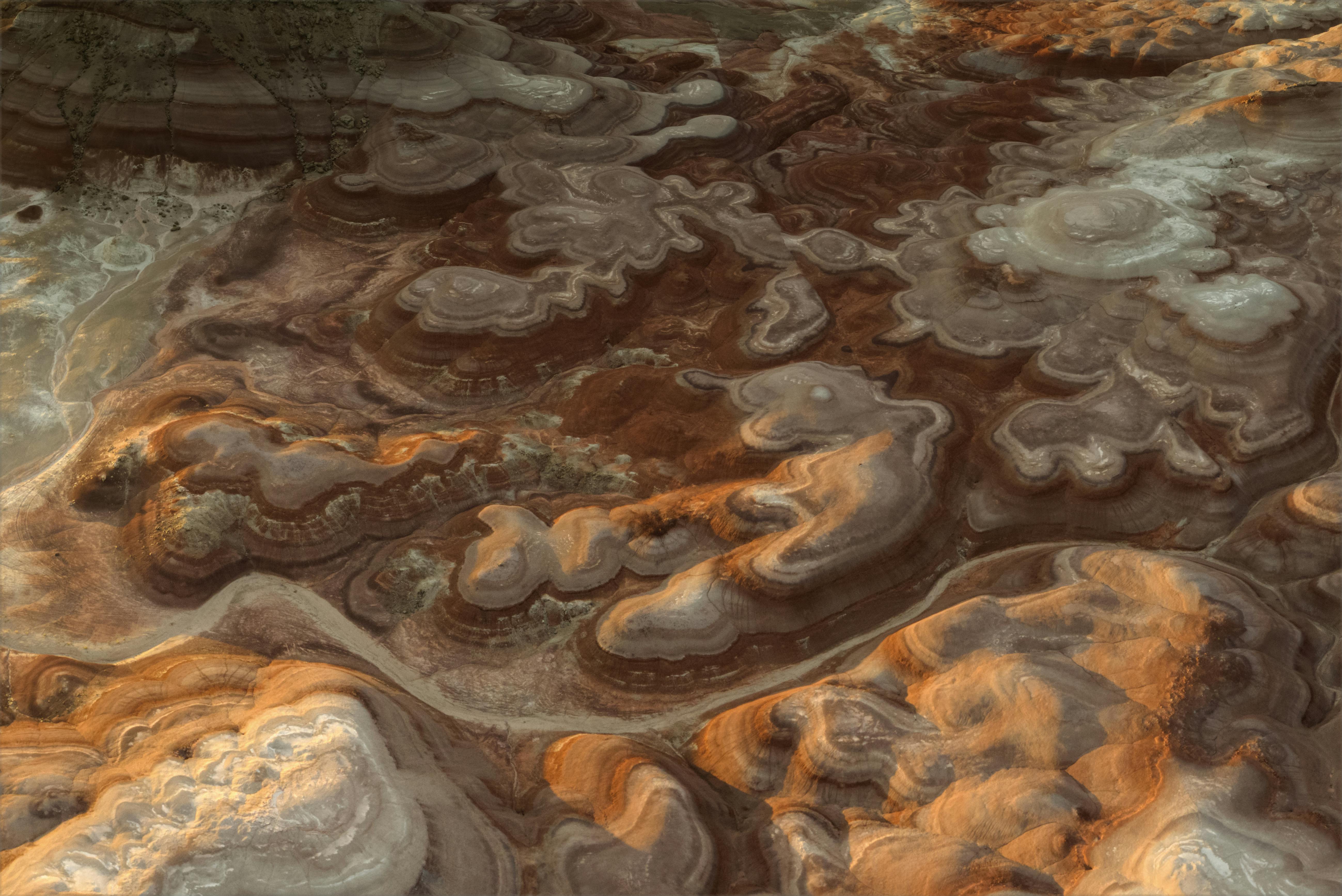 2025년 11월 숨겨진 숲멍 스팟과 감성 숙소로 떠나는 완벽한 힐링