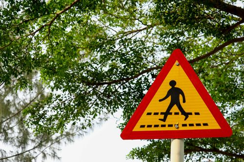 Free A triangle pedestrian crossing sign against a lush, leafy background. Stock Photo