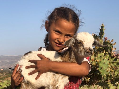 Free A joyful child hugging a goat amidst the scenic landscapes of Essaouira, Morocco. Stock Photo