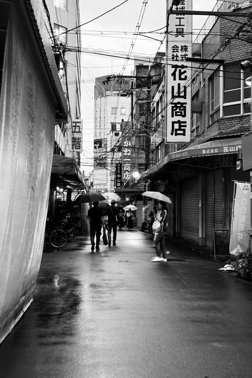 Free Black and white street scene featuring umbrellas in a rainy urban setting. Stock Photo