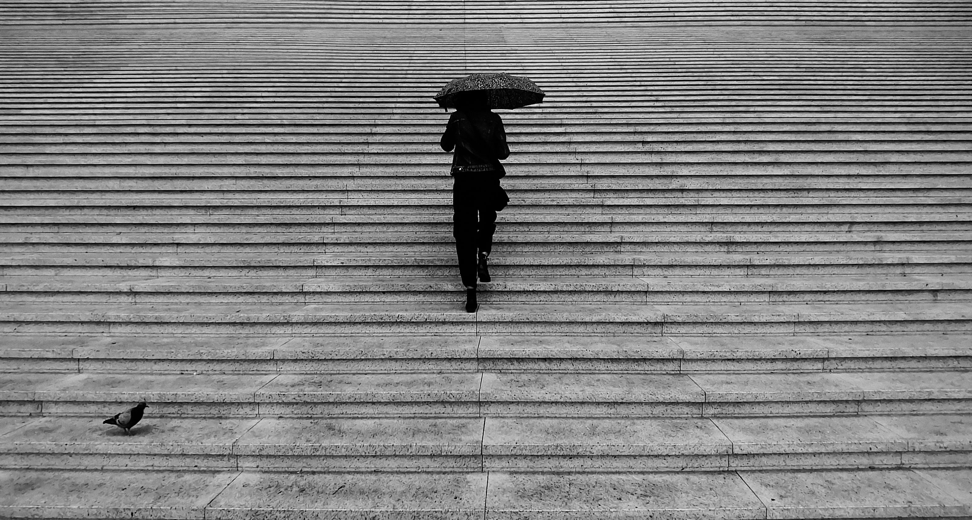 Grayscale Photography of Woman Walking Upstairs · Free Stock Photo
