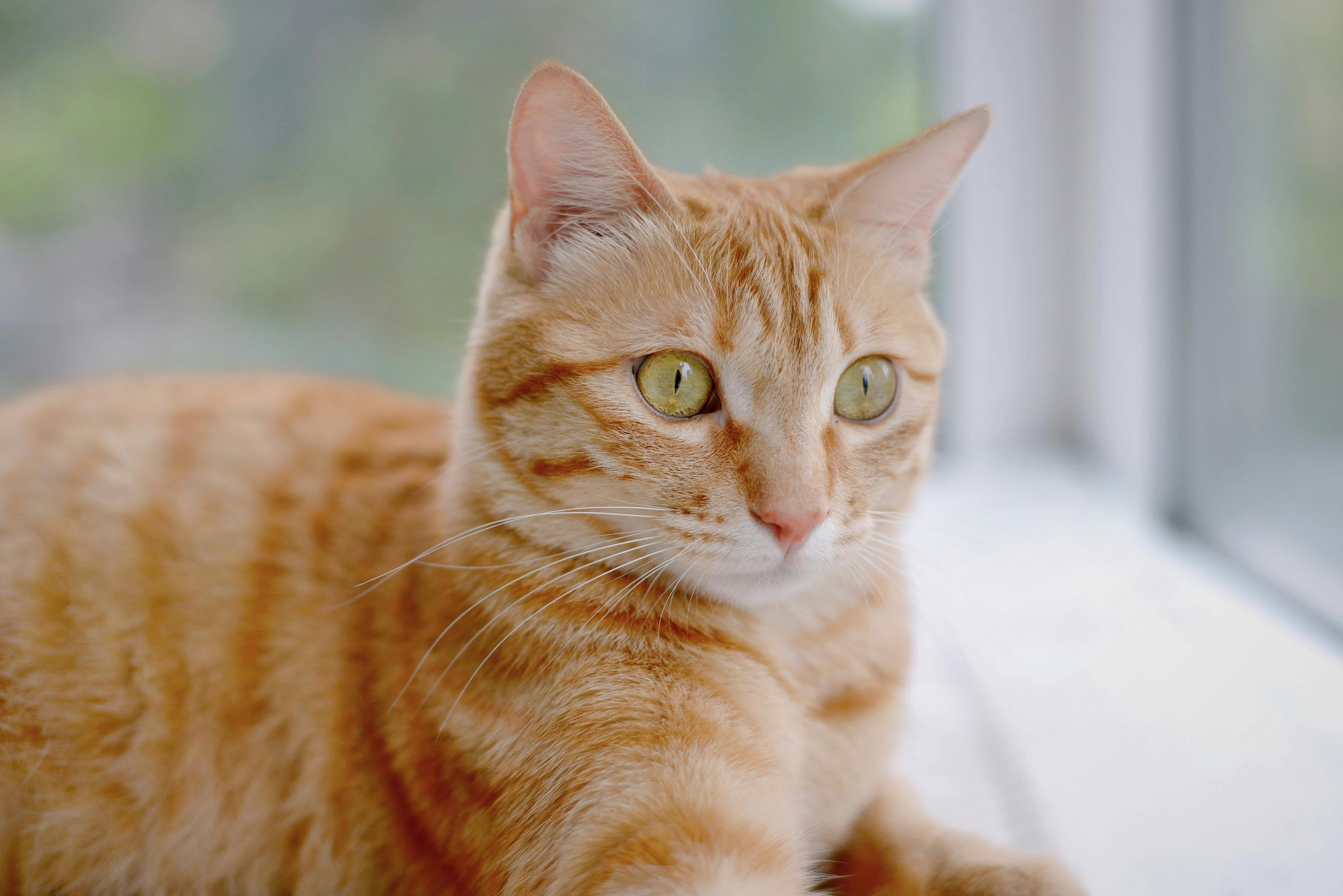 Linkjuice für Anfänger: Eine Schritt-für-Schritt-Anleitung für Einsteiger