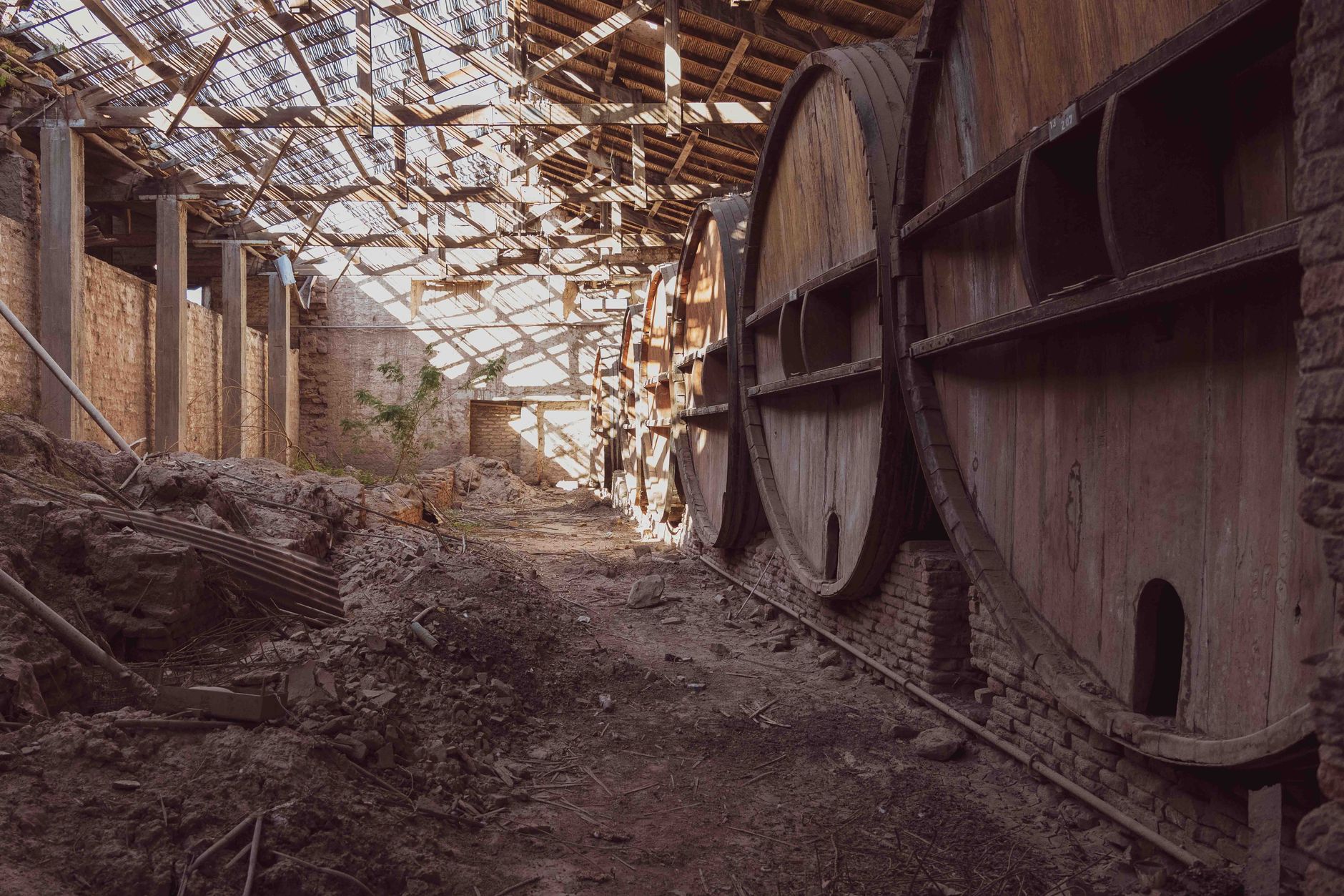What Is Natural Wine, and Why Does It Taste So Different?